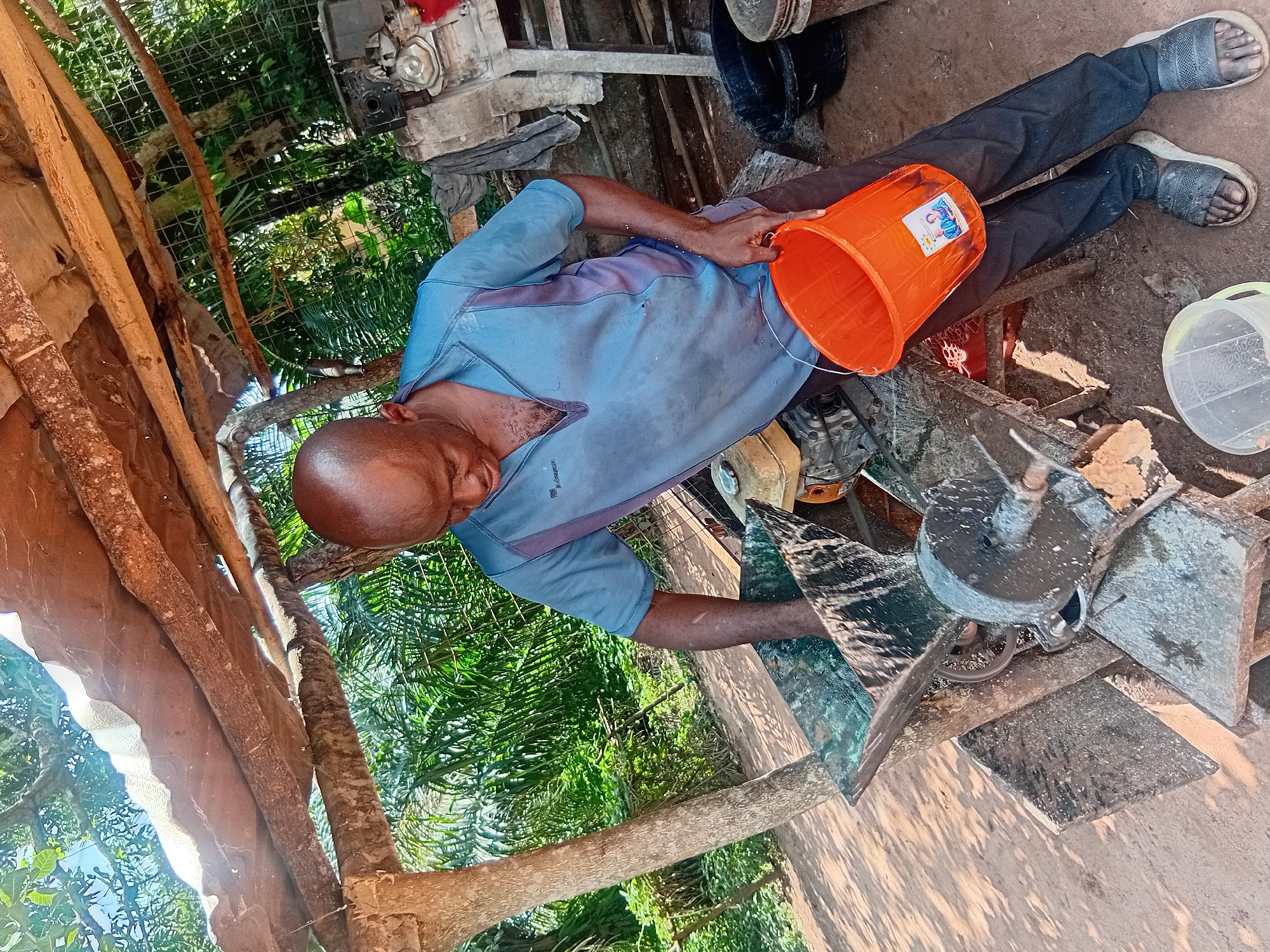 In Ejule, Nigeria, a bald man is seen under a makeshift shelter constructed with wooden beams and what appears to be a corrugated metal roof. He is wearing a blue polo shirt and dark pants, with dark sandals. The man is actively engaged in a process involving a machine that has a rotating component, possibly for grinding or processing materials. He is holding an orange bucket in his right hand, and his left hand is positioned near the machine's apparatus. The environment is outdoors, with lush green vegetation and trees visible in the background. The ground is a reddish-brown dirt. Several other objects, including a black bucket and a clear plastic container, are present in the scene.