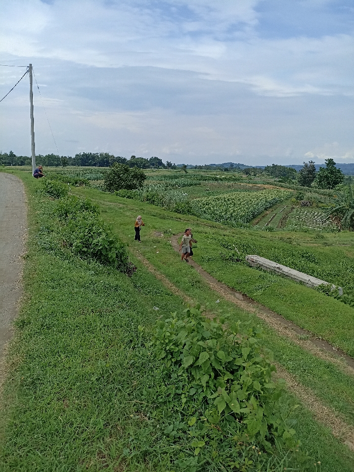 A rural landscape in Kepung, Indonesia, is captured under a bright, cloudy sky. The scene is dominated by lush green vegetation and extensive agricultural fields. On the left side of the frame, a dirt road runs parallel to a grassy embankment. An adult, dressed in dark clothing, is seated on the ground beside a utility pole with wires.
Further into the midground, two children are visible on a narrower dirt path that cuts through the grassy area. One child, wearing a light-colored shirt and shorts, appears to be running ahead, while another child, wearing a head covering and a long-sleeved top, follows closely behind. To the right of this path, a long, light-colored concrete or stone structure, possibly part of an irrigation system or a boundary marker, lies horizontally on the grass.
Beyond the immediate grassy slopes and paths, the landscape unfolds into vast, terraced fields filled with various crops, creating a patchwork of green textures. Trees and distant hills are visible on the horizon, defining the boundaries of the agricultural area. The overall impression is one of a serene, active farming community during what appears to be late morning or early afternoon, given the ambient light. No discernible text is present in the image.