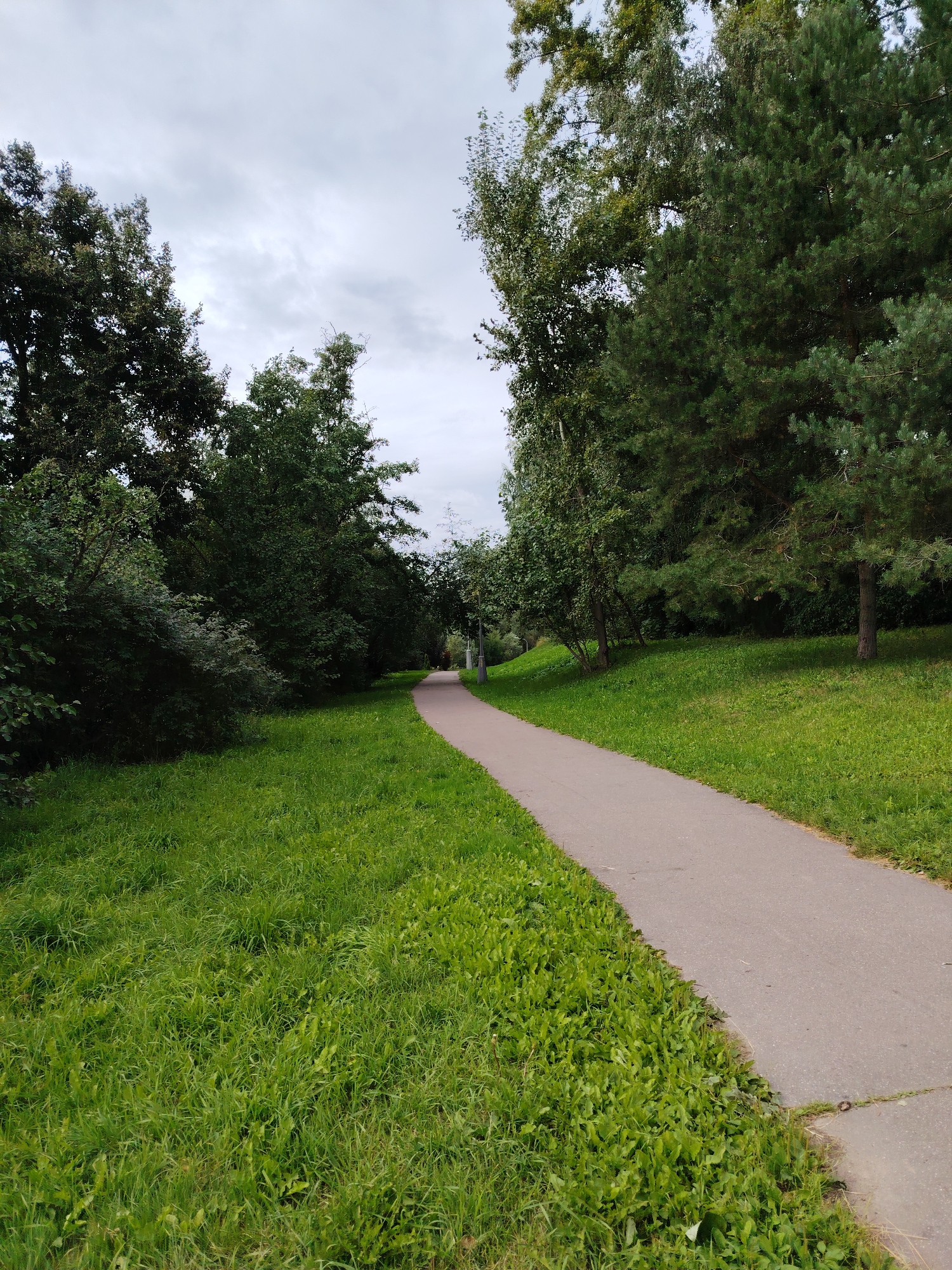 The image shows a paved walking path winding through a park area in Zelenograd, Russia. Lush green grass borders both sides of the path, with dense trees and bushes forming a natural canopy. The trees include both deciduous and coniferous varieties, with a mix of dark green needles and lighter green leaves. The sky is overcast with gray clouds. There are no people or animals visible in the scene. The path appears to be well-maintained and is set against a gentle slope on the right side of the image.