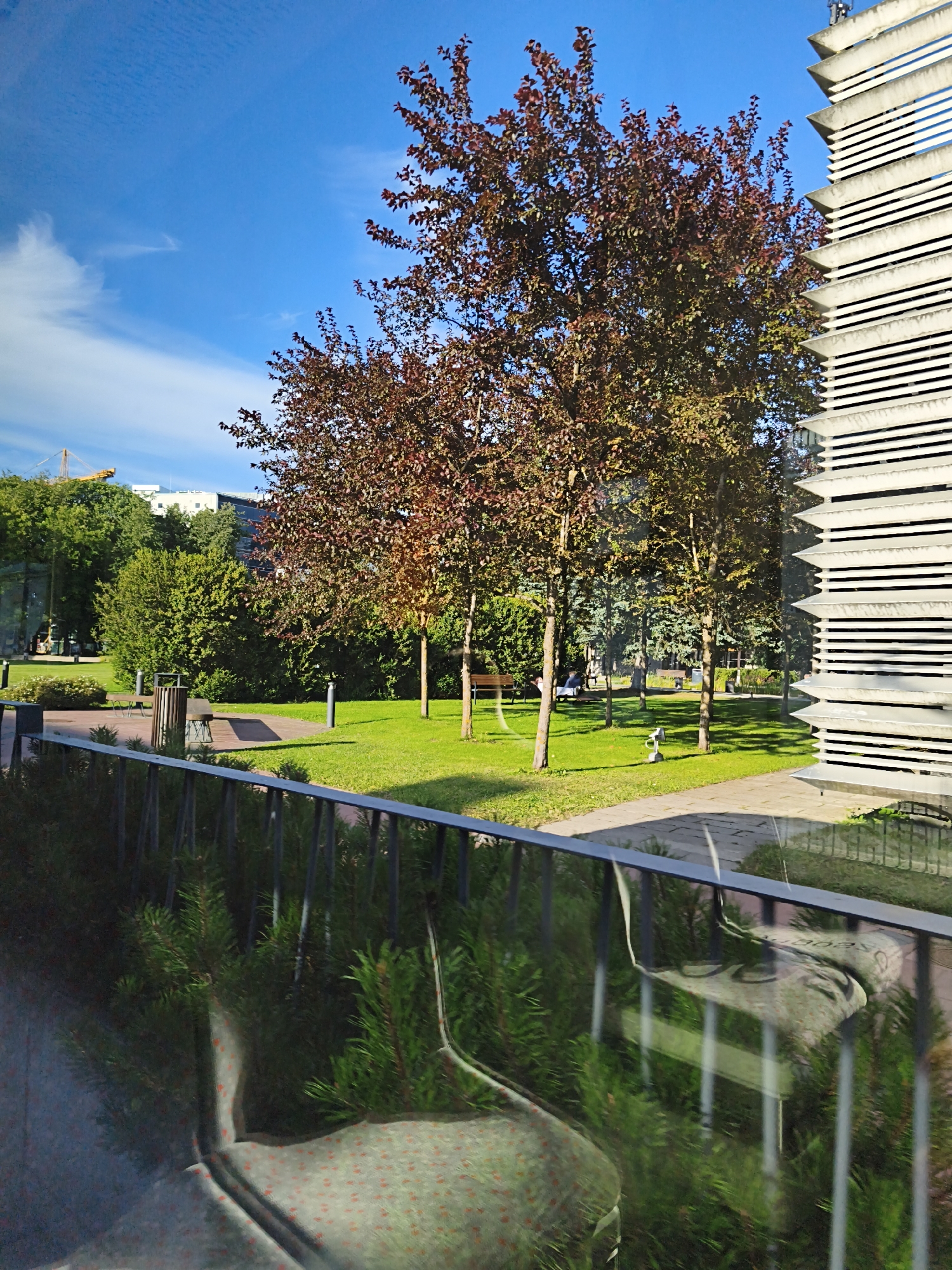 The image captures a sunny day in a city park, likely in Tallinn, Estonia, with a modern building visible to the right. In the foreground, a dark metal railing runs horizontally, partially obscuring a dense evergreen hedge below. The railing reflects a patterned cushion or seat, suggesting the viewpoint is from indoors or behind a glass barrier.
Beyond the railing, a well-maintained lawn is bathed in sunlight, with several trees featuring reddish-brown foliage. Two park benches are visible, one occupied by two individuals, and a cylindrical trash receptacle stands near a paved pathway. In the background, lush green trees and some buildings can be seen, along with a yellow construction crane, indicating ongoing development. The sky is a vibrant blue with sparse, wispy white clouds. The modern building to the right has a distinctive facade with horizontal louvers, contributing to the contemporary urban setting.