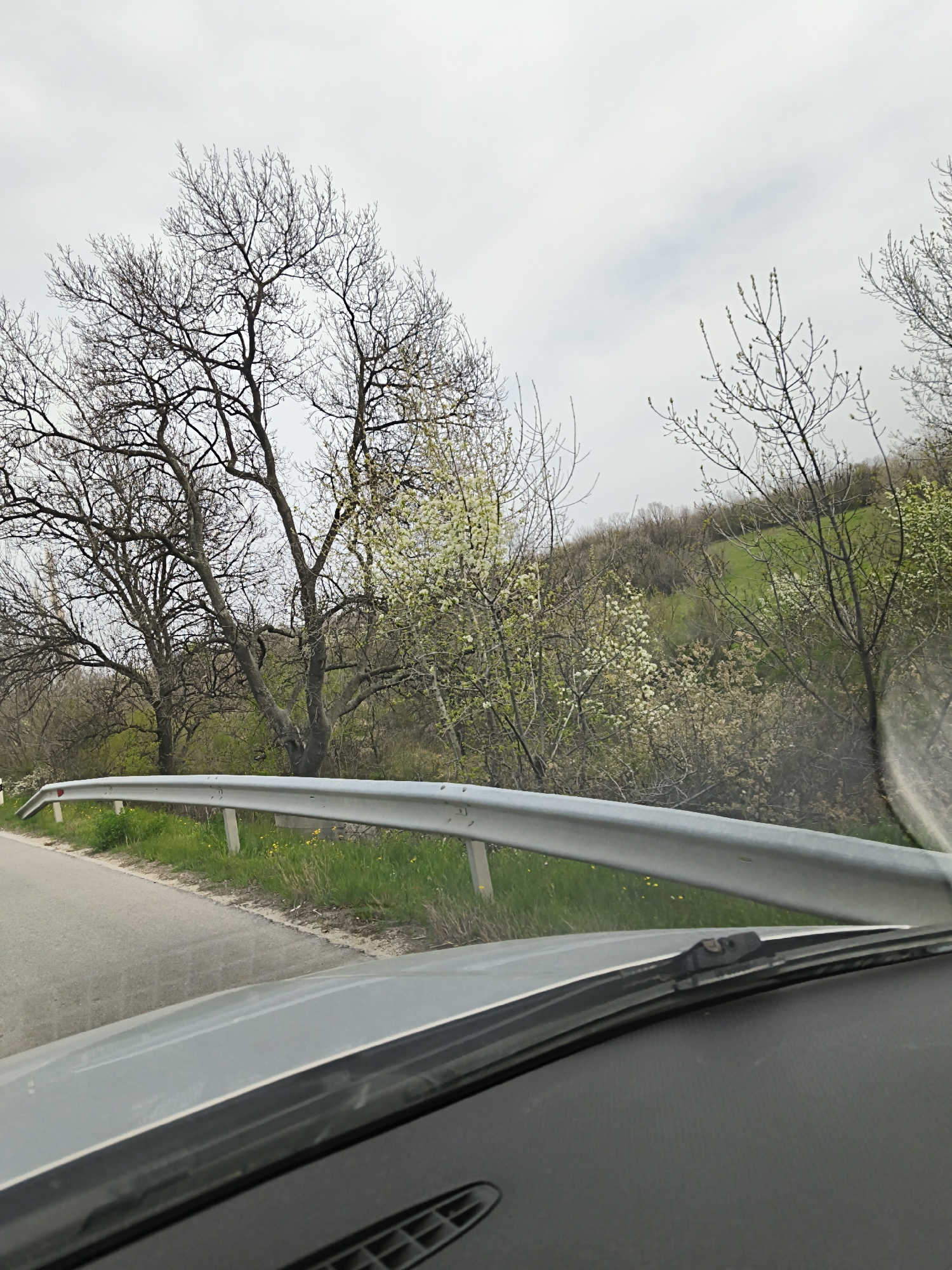 View from inside a vehicle driving on a road adjacent to a hillside covered with trees and vegetation. A gray metal guardrail runs along the edge of the road. The sky is overcast. The vegetation appears to be in early spring, with some trees still bare and others starting to bloom.