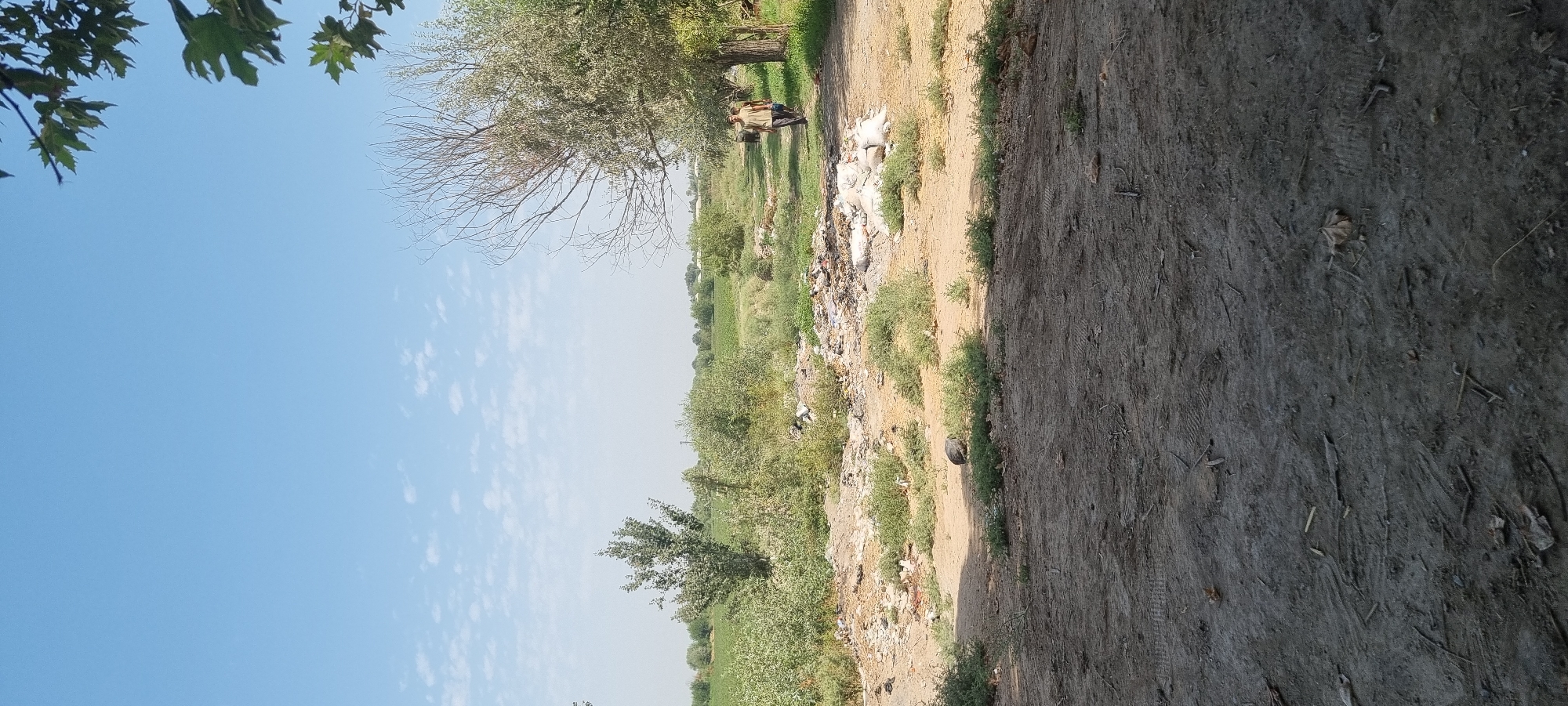 The image depicts an outdoor scene, possibly in or near the city of Jomi, Tajikistan. The foreground is a dirt path with some scattered debris and dried vegetation. In the middle ground, there is a patch of uneven ground with more debris, including white bags that appear to be sacks of material, and a bird is visible foraging among the low-lying green plants. Further back, there are trees and vegetation, with a cultivated field in the distance under a bright, partly cloudy blue sky. Two men are walking along a path towards the right side of the image, near a large tree with sparse foliage.