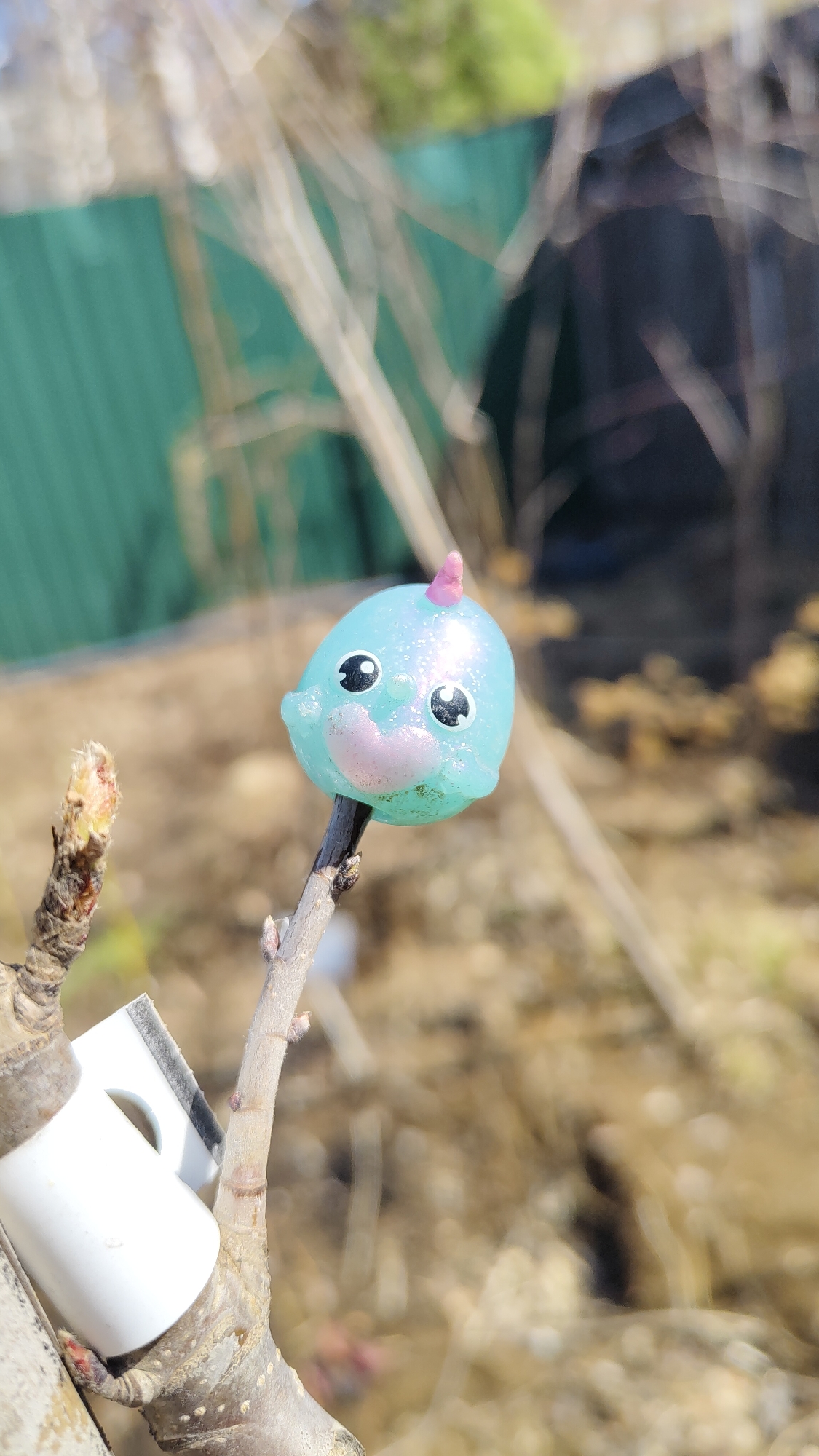 A small, blue, shiny toy resembling a narwhal is perched on a bare twig. The toy has large, black eyes and a small, pink horn on top. The twig is part of a larger branch that has a white, plastic device attached to it. The background is blurred but shows a green fence and more bare branches. The location is indeterminate; there is no evidence to suggest that the photo was taken in Krasnoyarsk, Russia.