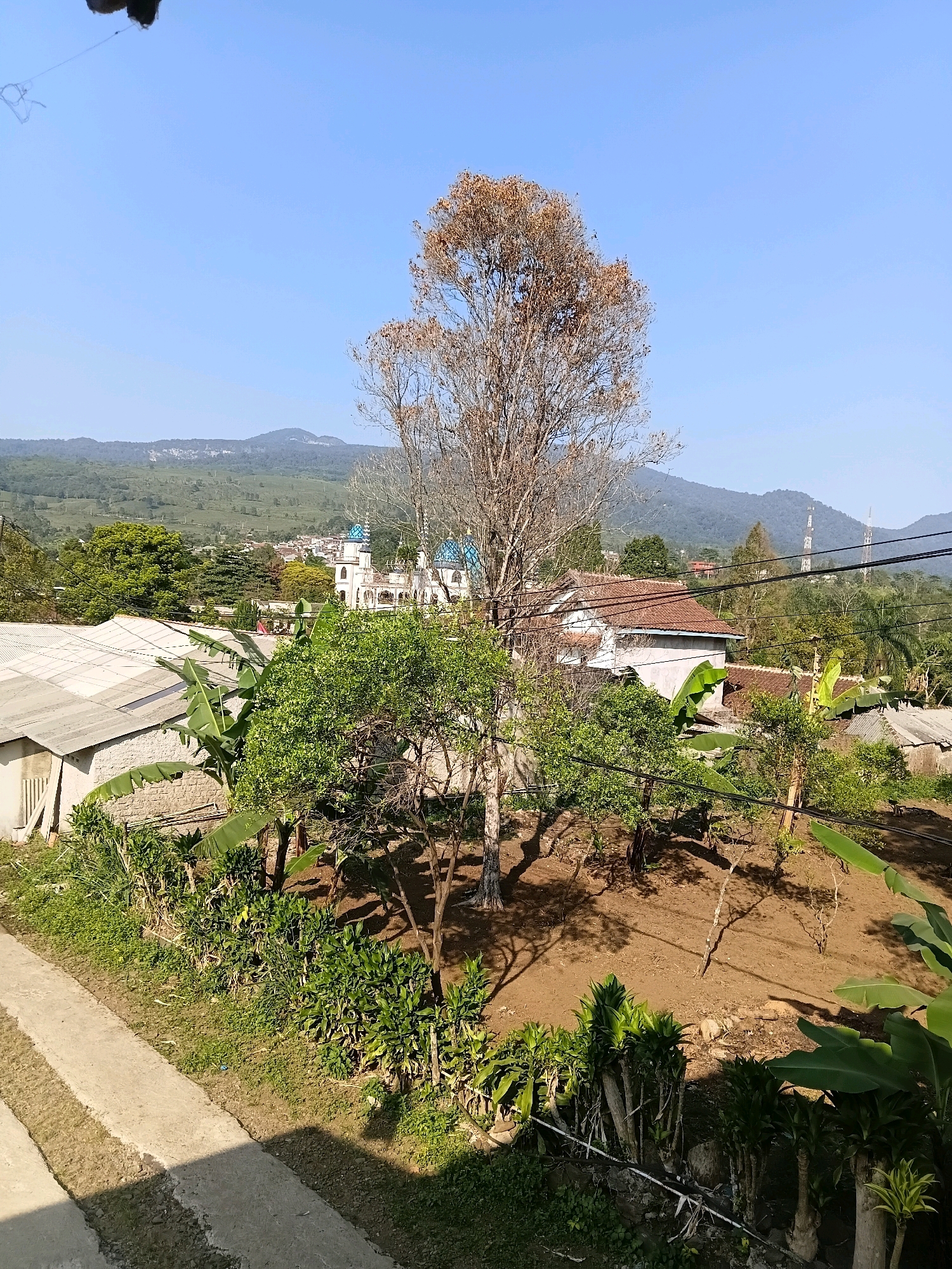 This image depicts a sunny outdoor scene in Ciater, Indonesia. The foreground features a concrete pathway with shadows cast by vegetation. To the right of the pathway is a garden area with lush green plants, including banana trees, and a bare, dry tree with brown leaves. In the midground, several buildings with terracotta roofs are visible, interspersed with more greenery. A white building with blue domes, likely a mosque, stands out among the structures. The background is dominated by rolling hills and mountains under a clear blue sky. Electrical wires crisscross the scene, and there are some utility poles with antennas visible on the distant hills. The overall impression is of a rural or semi-rural residential area in a hilly landscape.