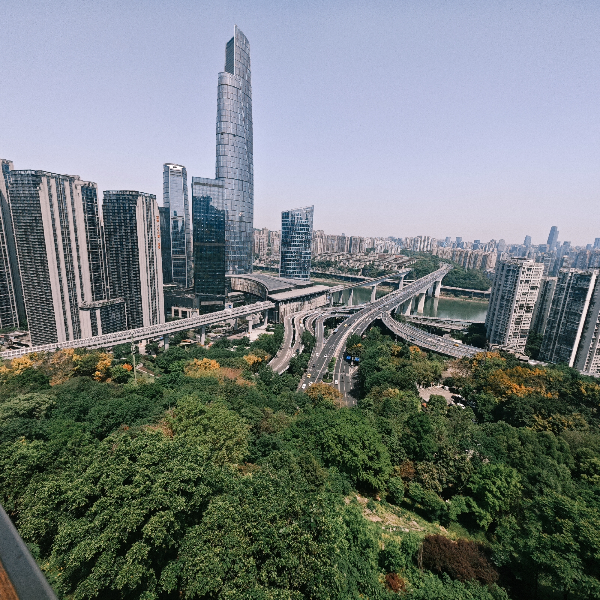 A high-angle, wide-shot photograph depicts the urban landscape of Yuzhong District, China. The foreground features dense, green trees with some yellow trees. Beyond the trees, a complex network of highways and elevated train tracks intersects and winds through the city. Modern skyscrapers, many with mirrored glass facades, dominate the skyline. In the midground, bridges span a river. In the distance, additional buildings form a cityscape under a clear, pale sky.