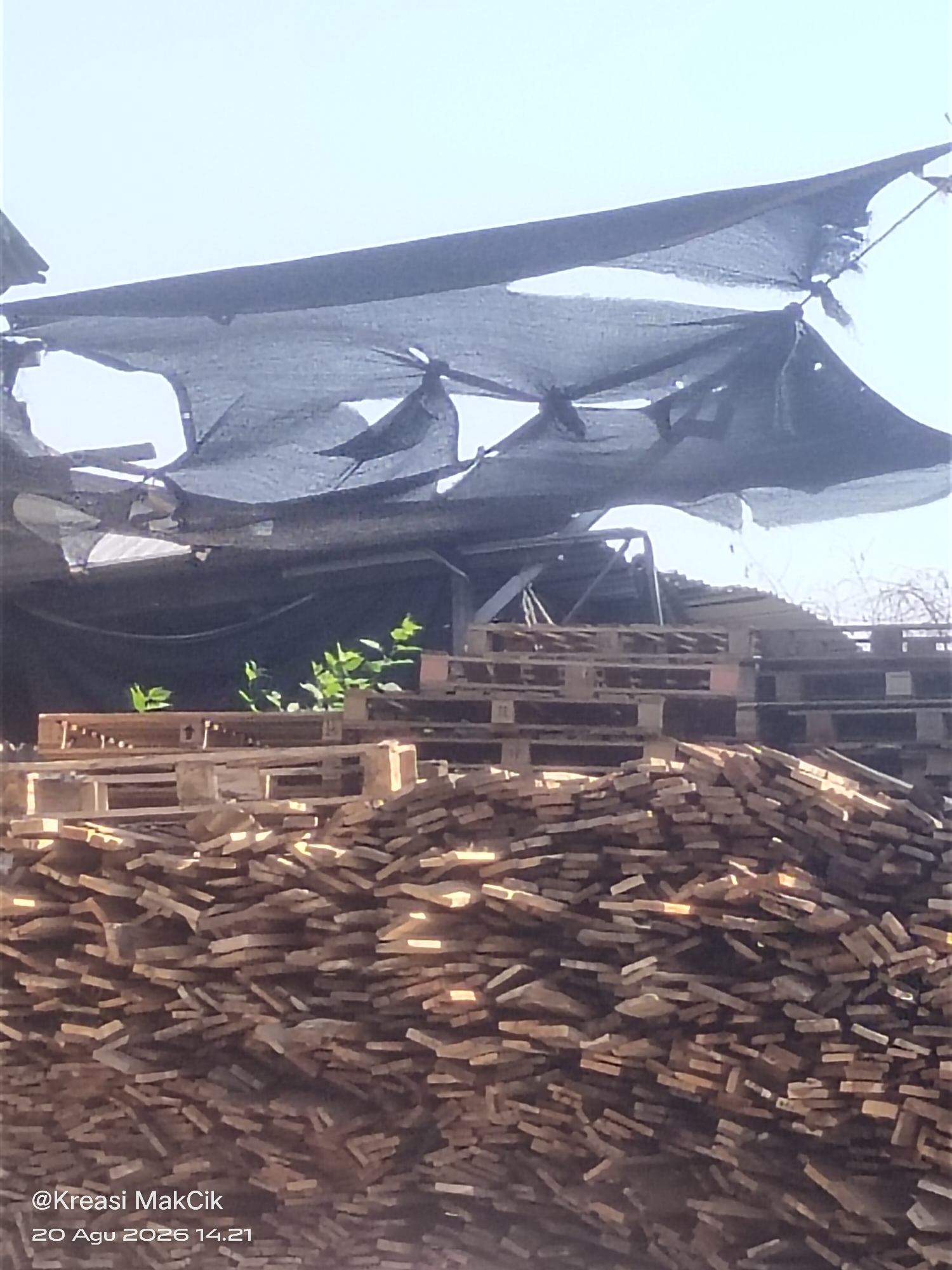 The image depicts an outdoor scene, likely in Kletek, Indonesia, characterized by a large pile of wooden planks in the foreground. Above the planks, several wooden pallets are stacked. Overhanging the pallets and planks is a dark, mesh-like tarp, partially torn and sagging, suggesting it's a form of overhead cover, possibly for shade or protection. A few small green plants are growing between some of the pallets, indicating a natural element within the manufactured landscape. The sky is visible in the upper portion of the image and appears bright, suggesting daylight. The overall impression is one of an outdoor storage or work area, possibly a lumberyard or a site for construction materials. A watermark with text "@Kreasi MakCik 20 Agu 2026 14.21" is present in the bottom left corner.