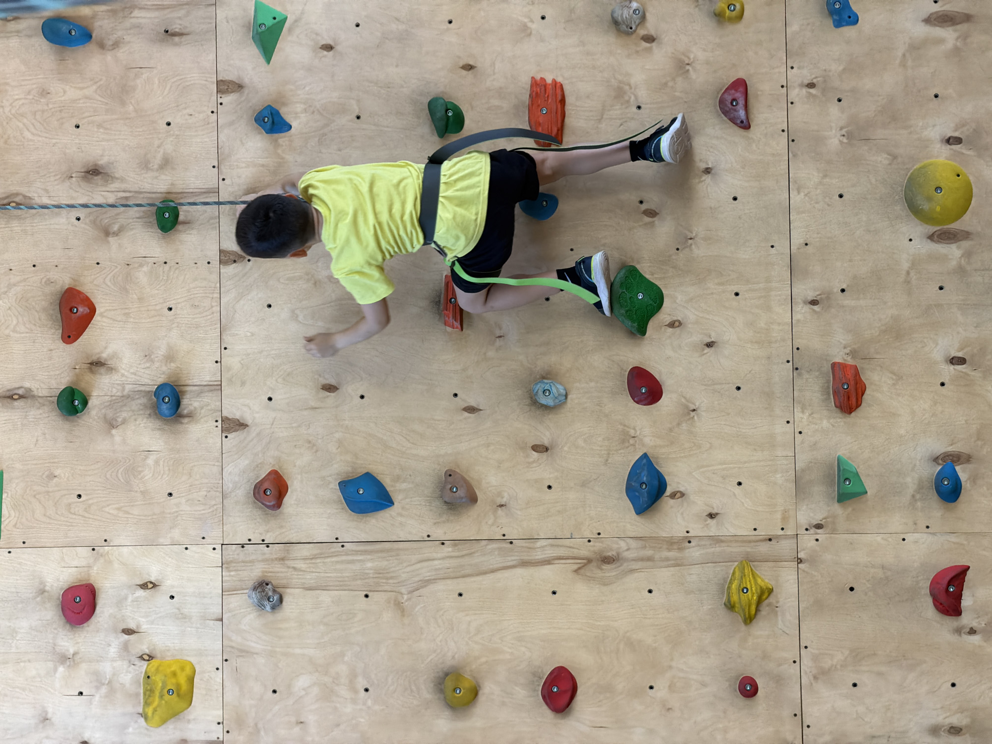 An overhead shot captures a young boy actively climbing an indoor rock wall at a facility in Izhevsk, Russia. The boy, wearing a bright yellow t-shirt, black shorts, and sneakers, is secured by a gray and neon green safety harness. He is positioned horizontally on the light-toned wooden wall, moving across it with visible focus.
The climbing wall is constructed from several large, light-colored wooden panels, featuring a grid of small black bolts and numerous climbing holds. These holds vary in size, shape, and color, including vibrant shades of red, blue, green, yellow, orange, and gray. A braided blue and white rope runs horizontally across the left side of the wall, near the boy's head. The indoor setting suggests artificial lighting, and there are no discernible texts or logos visible in the frame. The image emphasizes the activity and the bright, contrasting colors of the climbing equipment against the natural wood.