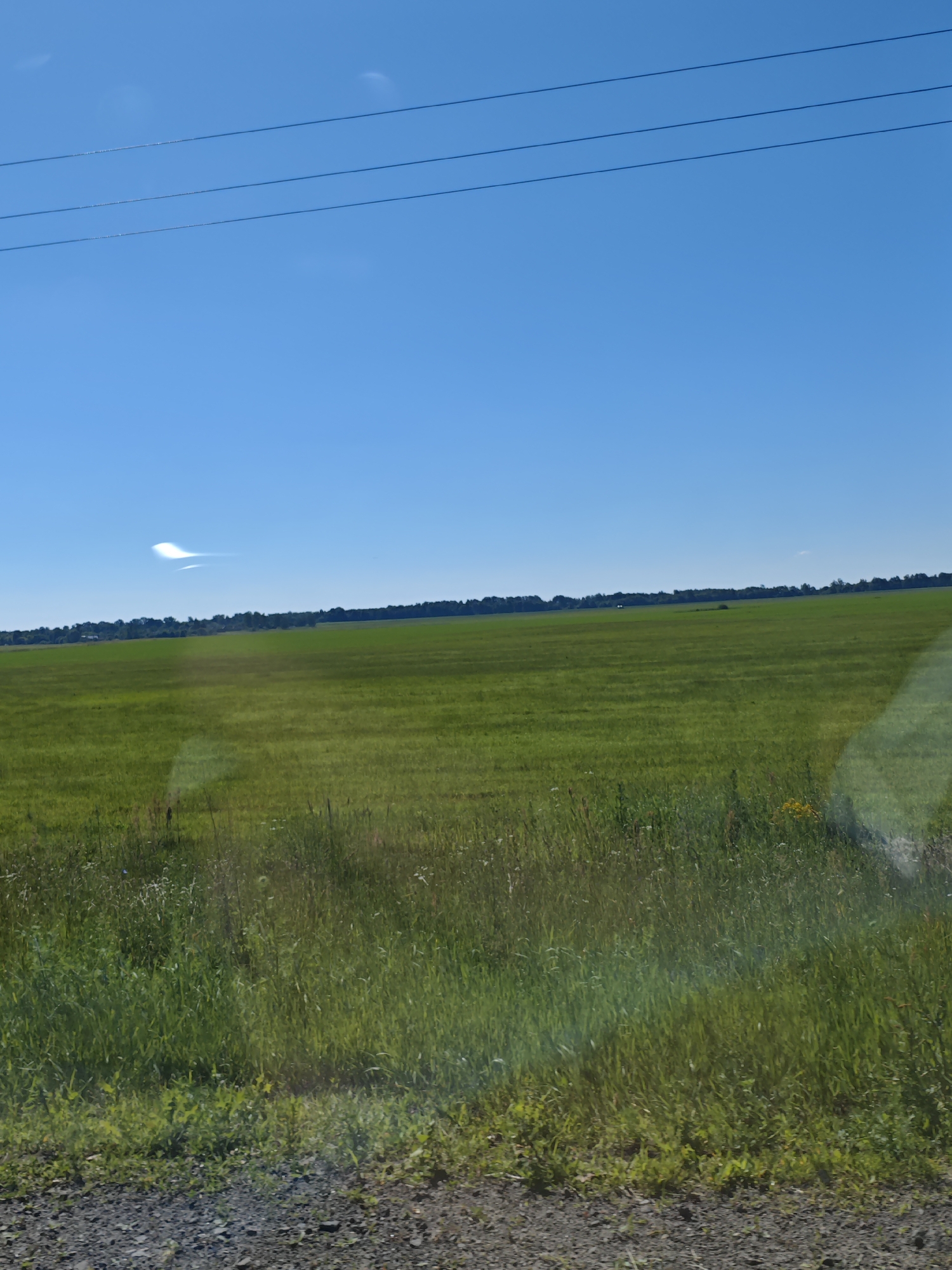 The image shows a wide, green grassy field under a clear blue sky with a few wispy clouds. Three dark power lines stretch horizontally across the upper portion of the sky. A faint rainbow or optical phenomenon is visible in the upper left quadrant of the sky. The field is lush and appears to be agricultural land. In the distance, a line of trees forms the horizon. The foreground shows a gravelly path bordering the field, with taller grasses and some wildflowers. The overall scene depicts a rural landscape under a sunny day. Based on the provided information, this location is within Салонскі сельскі Савет, Belarus. There are no people or animals visible in the image.