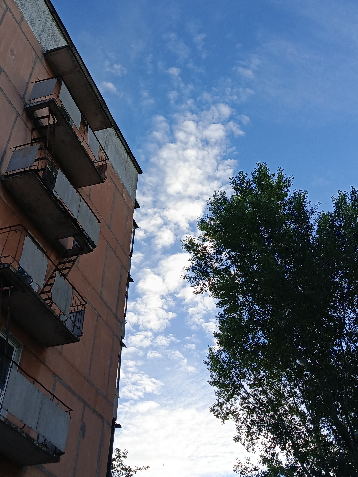The image shows the side of a multi-story residential building with balconies, seen from a low angle looking upwards. The building has an orange-toned facade with visible horizontal and vertical concrete lines. Several balconies with concrete platforms and black metal railings are visible. To the right of the building, a large, leafy green tree fills a significant portion of the frame. The sky above is a bright blue, dotted with scattered white clouds. The overall scene suggests an urban environment, likely a residential area in the city of Chaikovsky, Russia. No people are visible in the image. The time of day appears to be daytime, with clear skies and the sun likely casting some shadows from the tree.