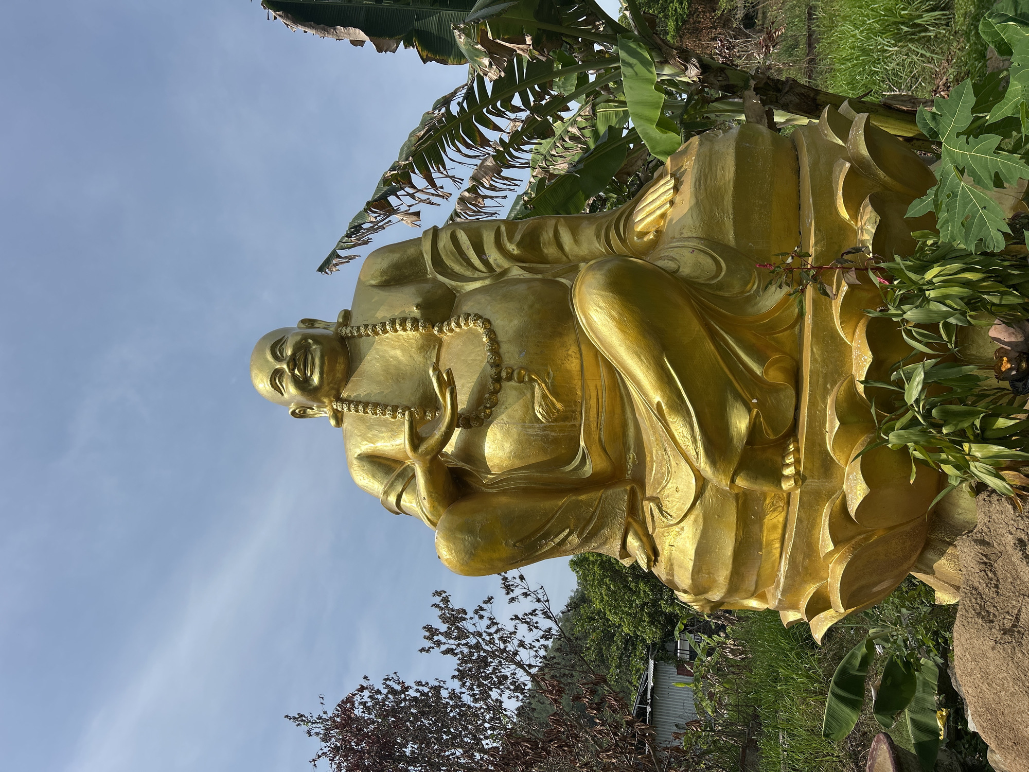 A full-body, low-angle, outdoor photograph shows a large, golden statue of the Laughing Buddha. The statue is seated cross-legged on a lotus flower base. The Buddha has a rounded belly, a smiling face with closed eyes, and is wearing a necklace of beads. He is dressed in flowing robes. The statue is in a garden setting, with lush green grass, banana trees, and other foliage surrounding it. In the background, there are some buildings and a hillside covered in trees under a bright blue sky with scattered clouds. The image appears to be taken in Nam Nha Trang Ward, Vietnam.