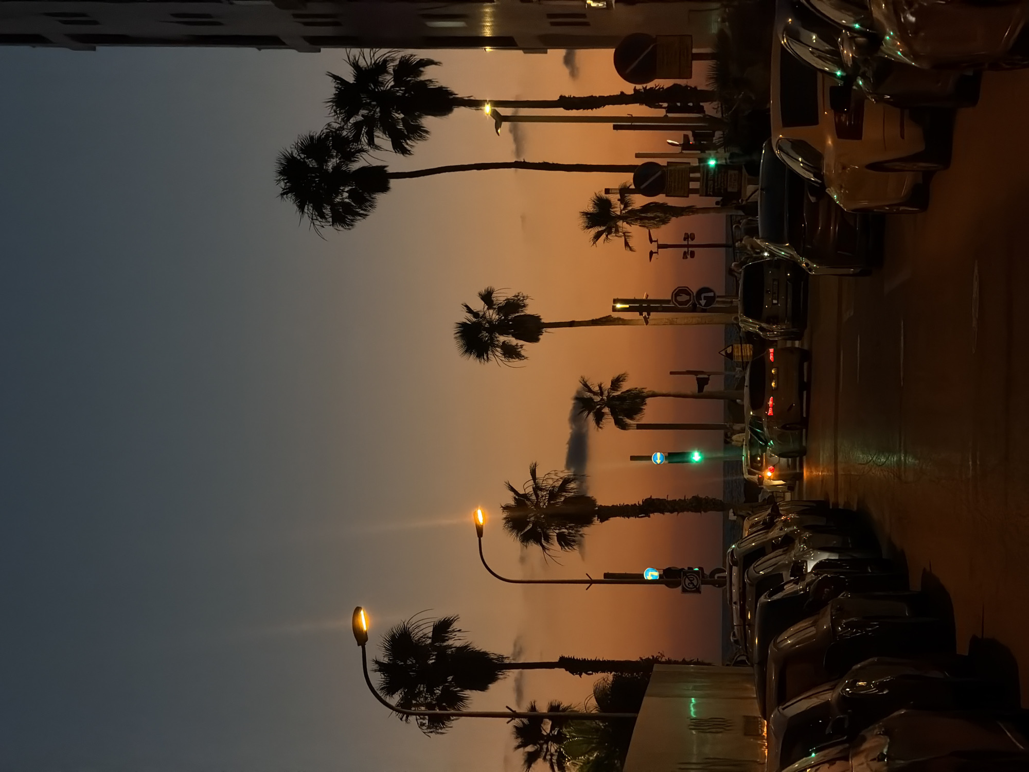 The image captures a street scene in Tel Aviv, Israel, at dusk. The sky exhibits a gradient of deep blue and warm orange hues, indicating the transition from day to night. Several palm trees are silhouetted against the sky, their fronds creating a distinct tropical silhouette.
Along the street, cars are parked on the right side, with their headlights and taillights visible. A line of traffic lights, some showing green signals, are present, suggesting an intersection. Streetlights with illuminated bulbs are also visible, casting a warm glow on the surroundings.
In the distance, the sea is faintly visible, adding to the coastal ambiance of the location. A multi-story building stands on the far right, its dark facade contrasting with the illuminated sky. The overall atmosphere is tranquil, with the soft light of dusk creating a serene and picturesque urban landscape.