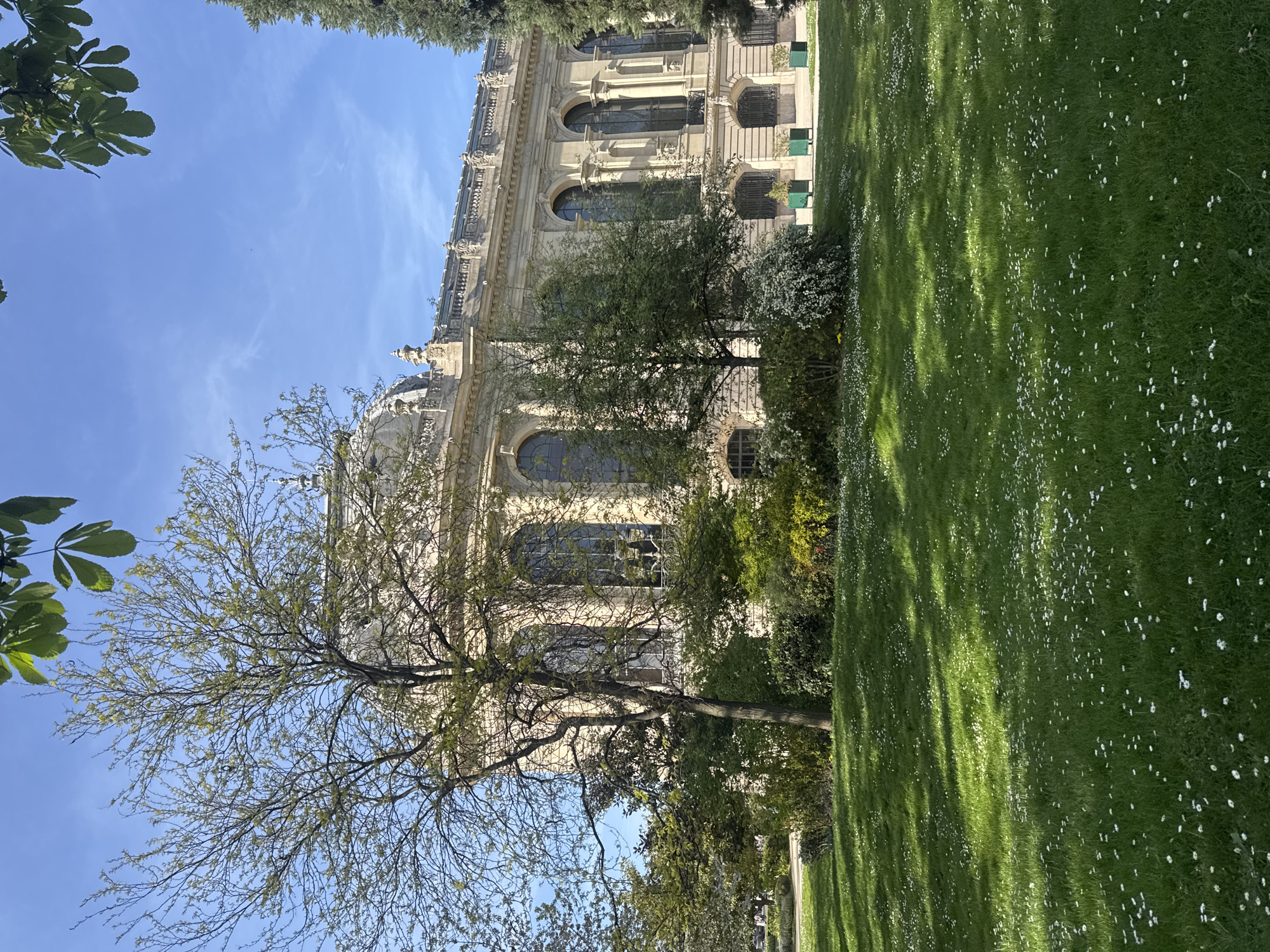 The image captures a scene in Paris, France, featuring a portion of the Palais du Luxembourg, specifically a section of its façade. The building is constructed from light-colored stone, evident in its ornate architectural details, arched windows, and decorative elements. A tree with bare branches is partially visible in the foreground, obscuring some of the lower levels of the building.
The foreground consists primarily of a green lawn speckled with small white flowers, which contrasts with the shadows cast by trees in the area. The sky is a clear blue, visible in the upper portion of the image.