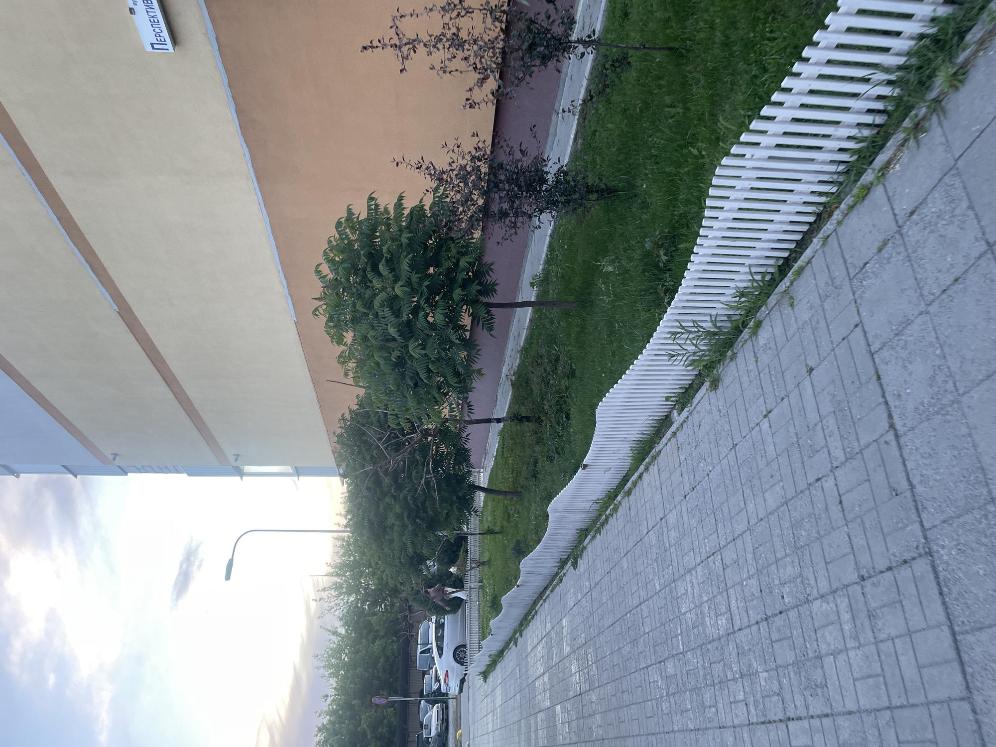 This image depicts a quiet urban or suburban scene in Rozsoshentsi, Ukraine, likely during the early morning or late afternoon, given the soft, diffused light in the sky. The main subject is a modern building on the left, featuring distinct sections painted in light yellow and a warmer brown-orange hue.
A prominent sign on the building's facade displays text in blue capital letters: "ПЕРСПЕКТИВ" (PERSPEKTIV). Adjacent to the building, a strip of well-maintained green grass is visible, home to several young trees. Some trees have vibrant green leaves, while others display darker, possibly purplish foliage.
A low, white picket fence neatly separates the grassy area from a wide, paved sidewalk. The sidewalk is constructed from grey interlocking bricks. Beyond the sidewalk, a street or parking area can be seen, with several white cars parked along it. A street light with a curved arm is also visible in the mid-ground, silhouetted against the sky. The sky itself shows patches of light and clouds, but no harsh sunlight, contributing to the gentle lighting of the scene. No individuals are present in the image.