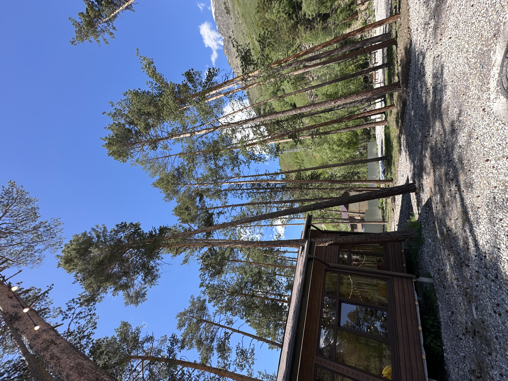 The image captures a scene near a wooden building with large windows, nestled among tall pine trees. The ground is covered with gravel and scattered pine cones. In the background, a sloping mountain covered in greenery and patches of snow rises under a clear blue sky with a few scattered clouds. The overall setting suggests a natural, possibly recreational area. The building appears to be a lodge or a guesthouse, and the presence of string lights visible through the windows hints at an inviting atmosphere. The architectural style of the building and the surrounding vegetation are consistent with mountainous regions.