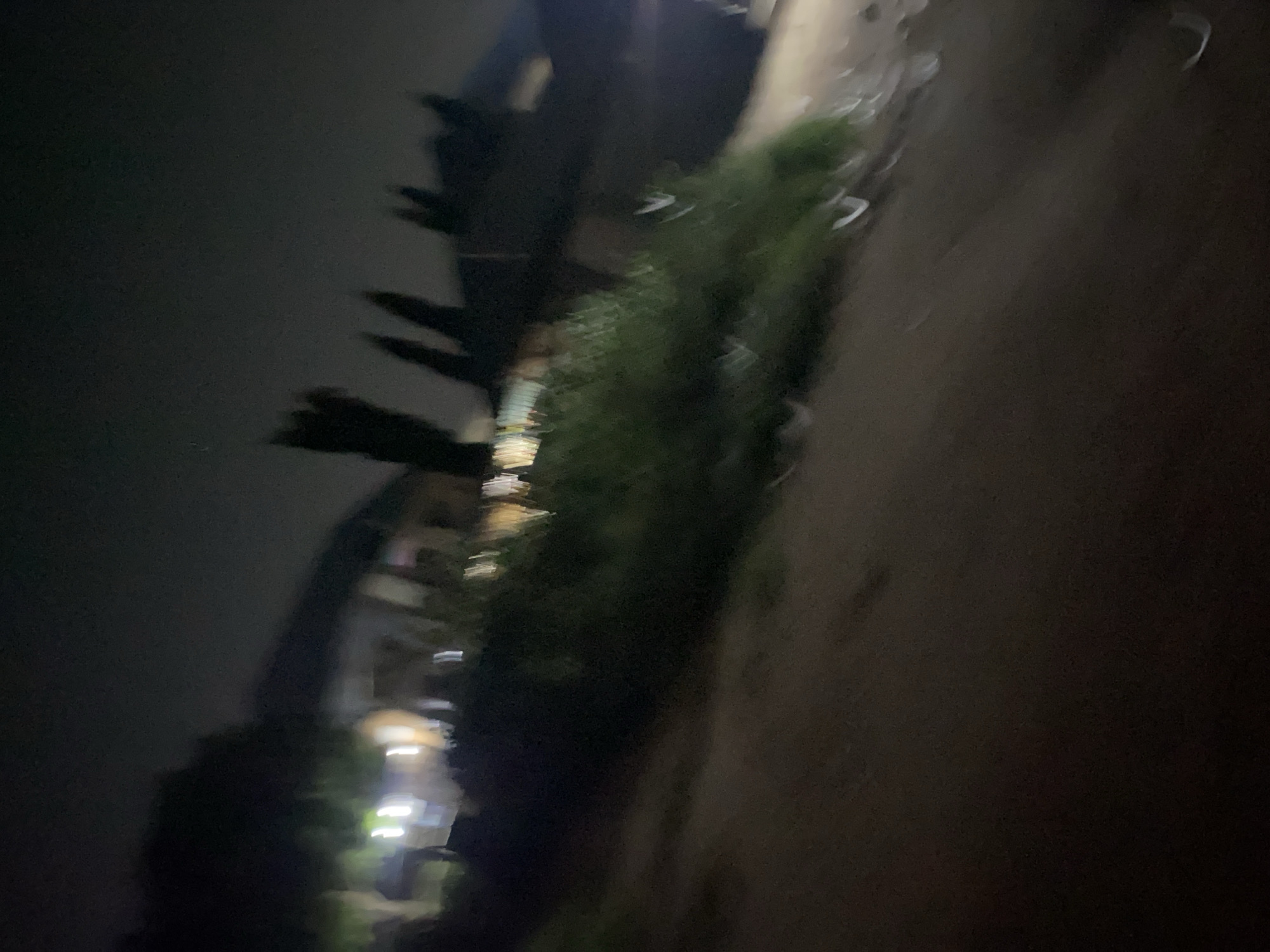 The image captures a blurry nighttime scene in Jalingo, Nigeria, featuring a row of buildings with illuminated windows, possibly houses or shops. A dense area of green foliage, appearing as a thick bush or trees, runs along the front of the structures. In the foreground, a dirt path or road is visible, also in soft focus. The overall impression is of a dimly lit, somewhat rural or suburban area at night.