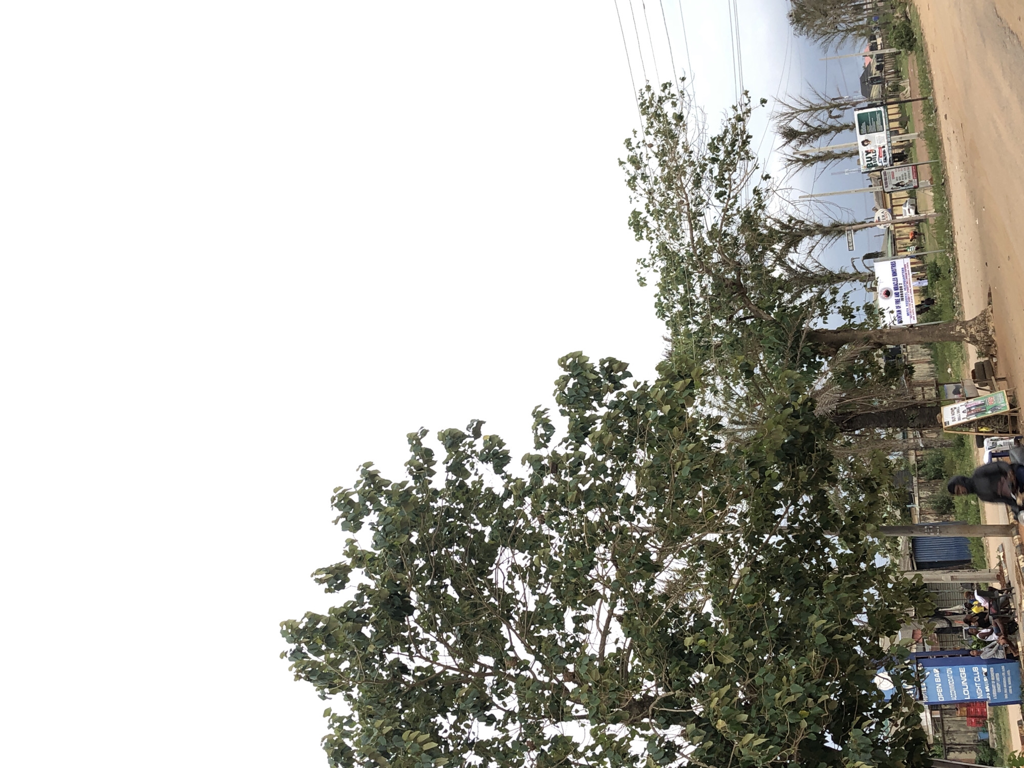 The image presents an outdoor scene along a dirt or unpaved road during what appears to be an overcast daytime. A large, leafy green tree occupies the left and central foreground, its branches and foliage filling a significant portion of the frame. To the right of this prominent tree, the road extends into the background, flanked by utility poles carrying power lines.
Further along the road, several other trees with sparser canopies are visible, alongside some distant buildings. People are present in the scene; a blurred individual on a motorcycle or scooter is partially seen in the lower right, near the base of the large foreground tree. A group of people are gathered further down the road, seated or standing near some structures.
Numerous signs are posted along the roadside. A large blue sign in the foreground displays text including "HOTEL," "OPEN BAR," "ACCOMMODATION," "LOUNGE," and "NIGHT CLUB." Other signs visible further down the road include phrases such as "BUY" (repeated), "ERA," and "MOUNTAIN OF FIRE AND MIRACLES MINISTRIES." The scene suggests a roadside environment with commercial and religious establishments, possibly in a semi-urban or rural setting. The sky is bright but uniformly white, indicating an overcast condition without direct sunlight.
