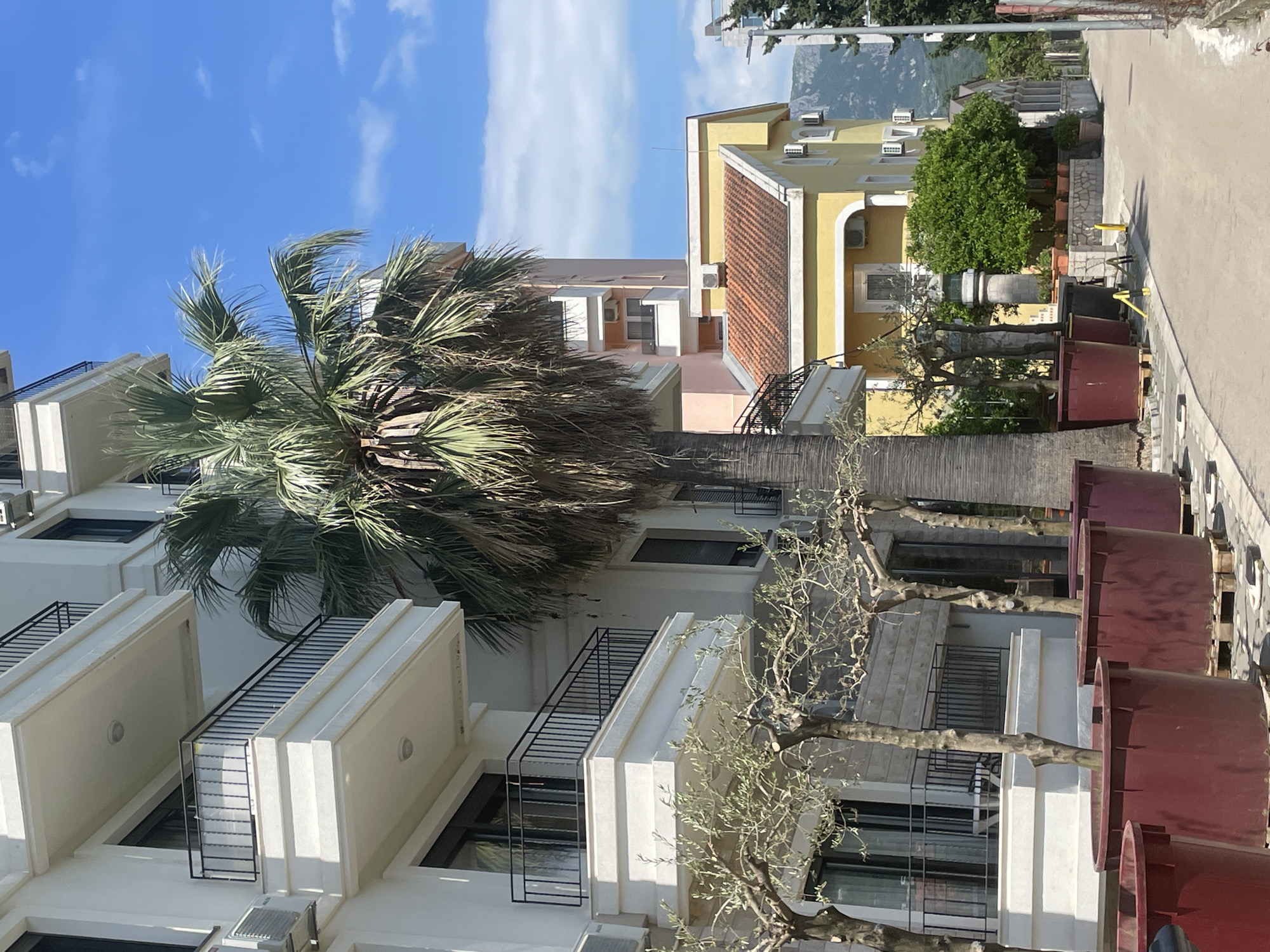 The image depicts a street scene in Bar, Montenegro. A white, multi-story building with balconies and black railings is prominently featured, partially obscured by a large palm tree with dense foliage. Next to it, a deciduous tree with bare branches stands in front of the building. Adjacent to the white building is a yellow structure with a red tile roof. The scene also features a row of large, dark red or brown planters along the side of the road. A paved road leads into the distance, where glimpses of other buildings and a mountain can be seen under a blue sky with scattered clouds.