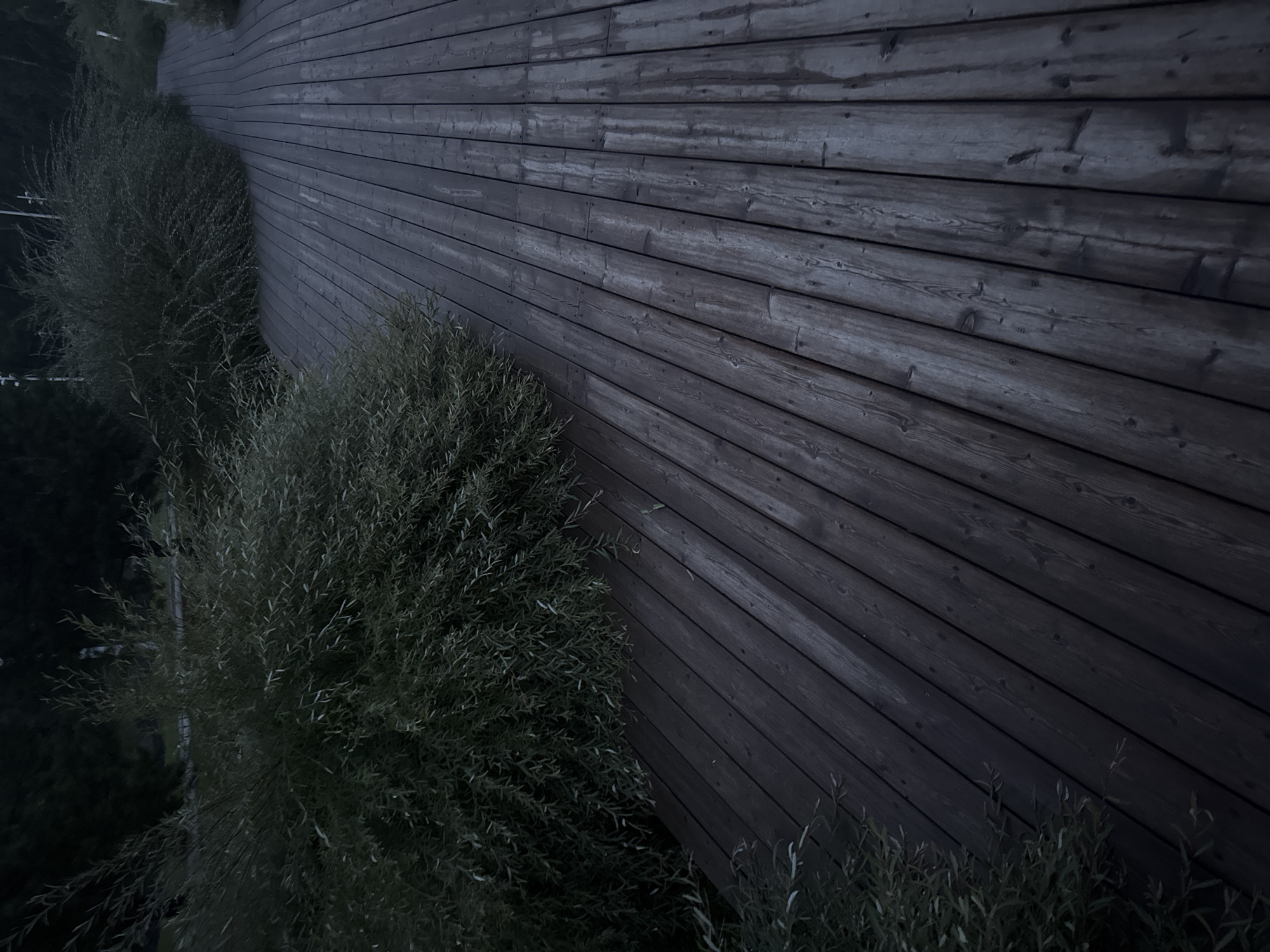 The image shows a wooden boardwalk curving to the right, bordered by dense, dark green foliage. The boardwalk planks are oriented diagonally, running from the bottom left towards the upper right of the frame. The wood appears weathered and damp, with visible grain and occasional darker streaks that suggest moisture or staining. In the background, the foliage continues, with some lighter-colored elements that might be streetlights or thin poles visible peeking through the dense leaves. The overall lighting suggests dusk or early morning. The scene is devoid of any people or animals. The location in Ufa, Russia, is not discernible from the image itself, as there are no identifying landmarks, signage, or architectural features that are unique to that city.