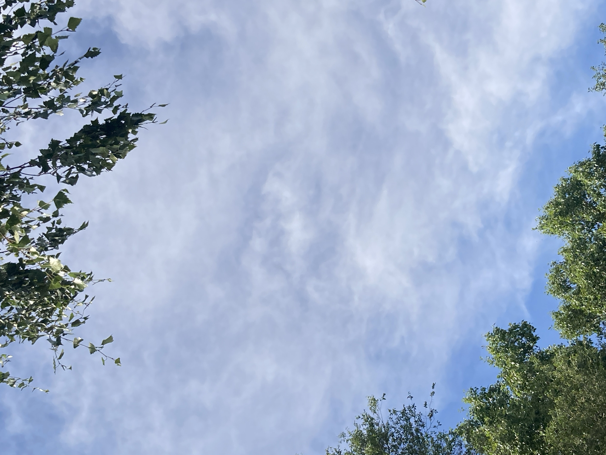 The image shows a view looking upwards towards a blue sky with wispy white clouds. The tops of several green trees are visible at the bottom and top edges of the frame, with branches and leaves extending into the sky. The scene appears to be outdoors, possibly in a park or residential area in Rakity, Russia, given the presence of trees and a natural sky. There are no people or animals visible in the frame.