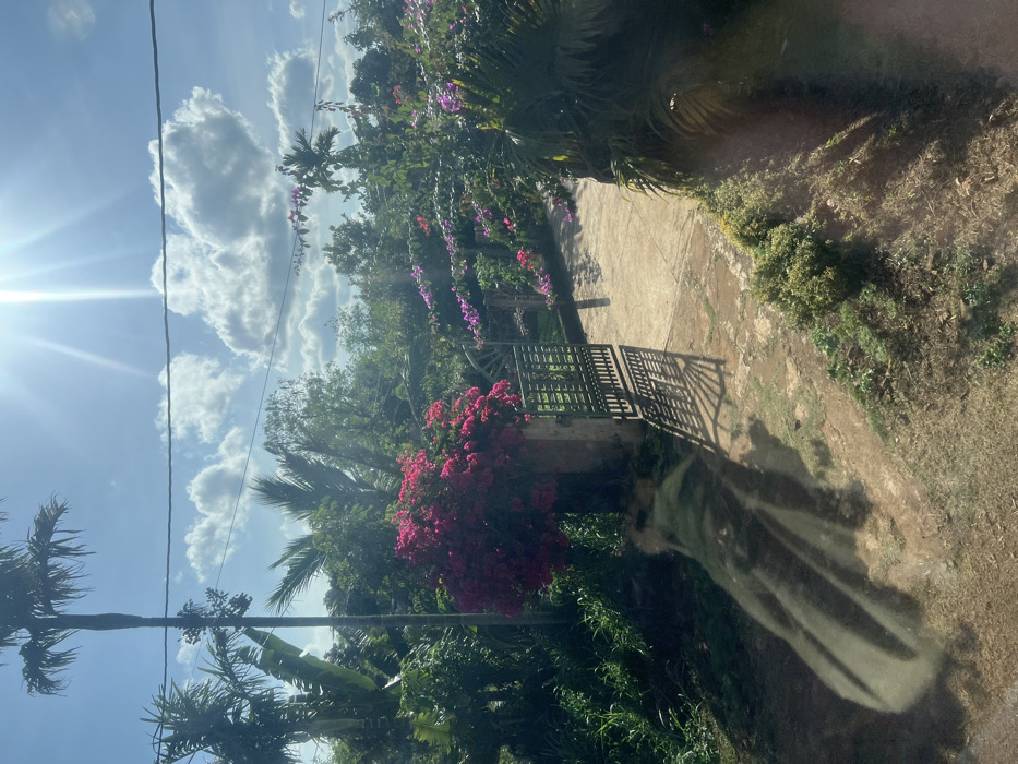 The image captures an outdoor scene in a tropical garden setting, located in Xuân Long, Vietnam. The sky is bright blue with scattered cumulus clouds, and intense sunlight originating from the upper right quadrant produces a prominent lens flare and strong, defined shadows.
A dark-colored, likely metal, double gate stands partially open on the left side of the frame, revealing a concrete pathway that extends into the background. A large, vibrant pink-red bougainvillea bush profusely flowers around a concrete or stone pillar immediately to the left of the open gate. Lush green tropical vegetation, including multiple tall palm trees and banana plants, forms a dense backdrop. Additional flowering plants with purple and pink blossoms are visible lining the pathway further beyond the gate.
Utility lines traverse horizontally across the upper middle portion of the image. The ground consists of uneven patches of grass, dirt, and small green shrubs in the foreground. A distinct, elongated, dark shadow is cast onto the ground in the lower-left foreground, suggesting the presence of an unseen object, possibly the camera's platform or a vehicle, reflecting in a surface. No individuals are present or engaged in any activity within the frame.