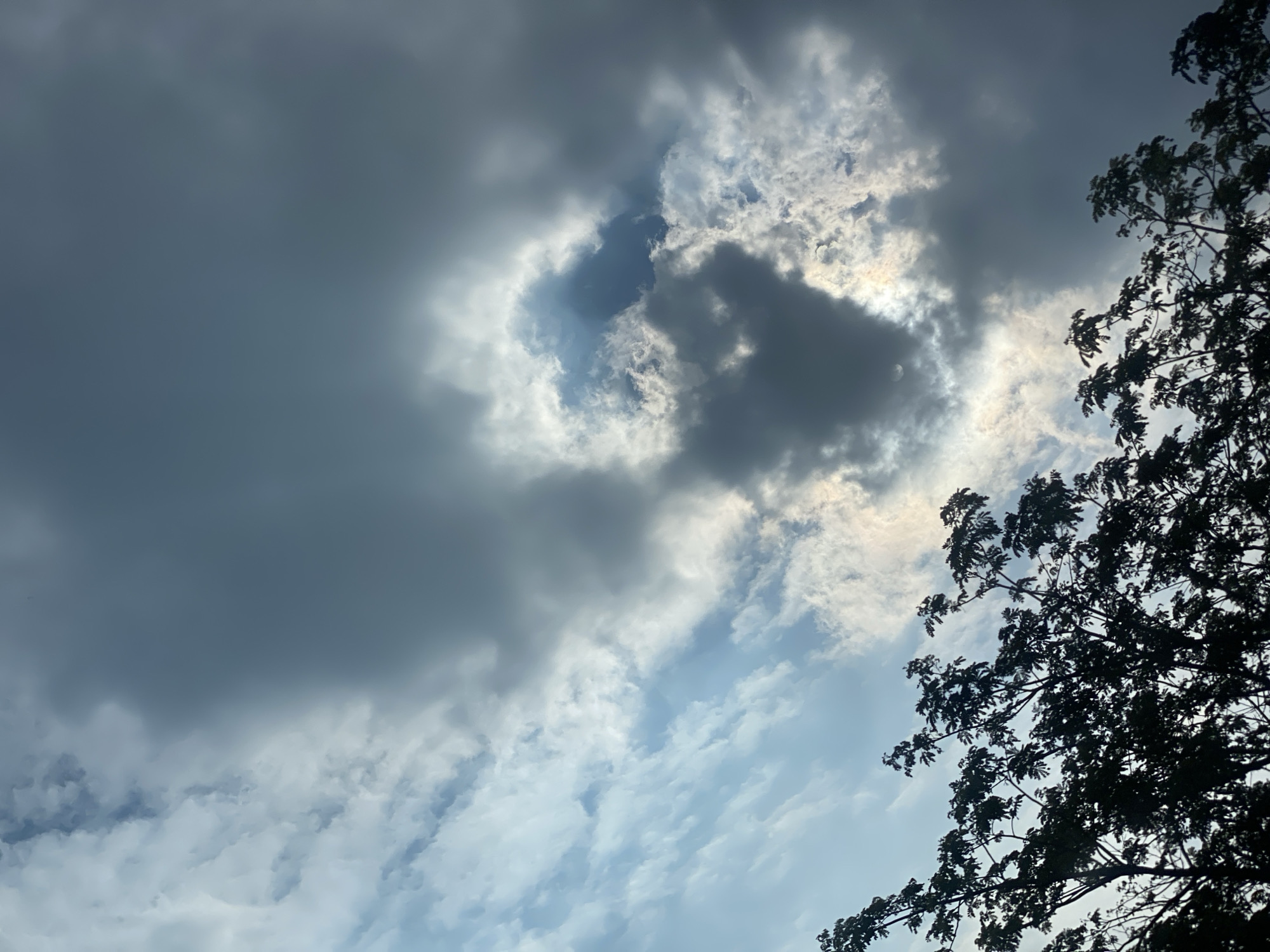 In Banjarbaru, Indonesia, a view of the sky is captured, featuring a mix of dark, heavy clouds and lighter, wispy ones. The sun is partially obscured by the clouds, creating a dramatic lighting effect. In the foreground, the dark silhouette of tree branches fills the bottom portion of the frame. The scene suggests an impending storm or a dramatic shift in weather.