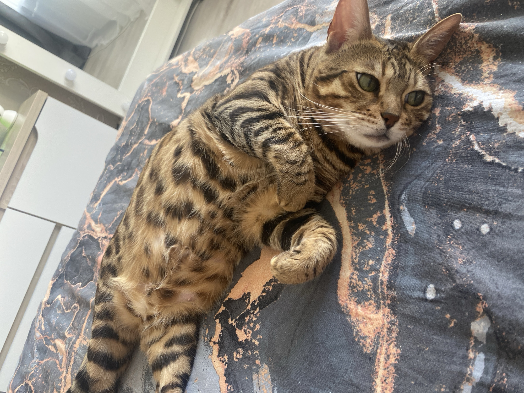 A Bengal cat lies on a bed covered with a patterned duvet. The cat's coat is brown and black with distinct spots and stripes. The cat is resting its head on the bed, with its paws curled up close to its body. A white vanity table with illuminated lights is partially visible in the background. The location is Chaikovsky, Russia.