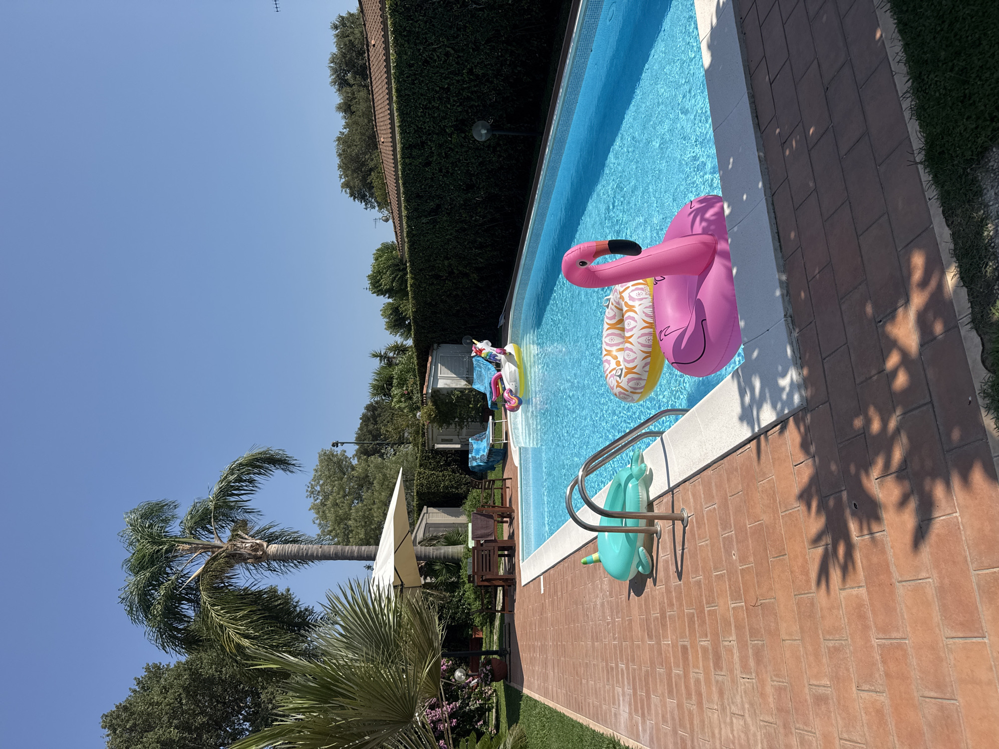 A swimming pool is shown in the backyard of a residential property, likely in San Felice Circeo, Italy. The pool is filled with clear blue water and several inflatable pool toys, including a pink flamingo, a unicorn, and a green dolphin. The pool area is surrounded by a brick patio and lush green vegetation. A tall palm tree is visible in the background, along with a white patio umbrella and outdoor furniture. The sky is clear and blue.