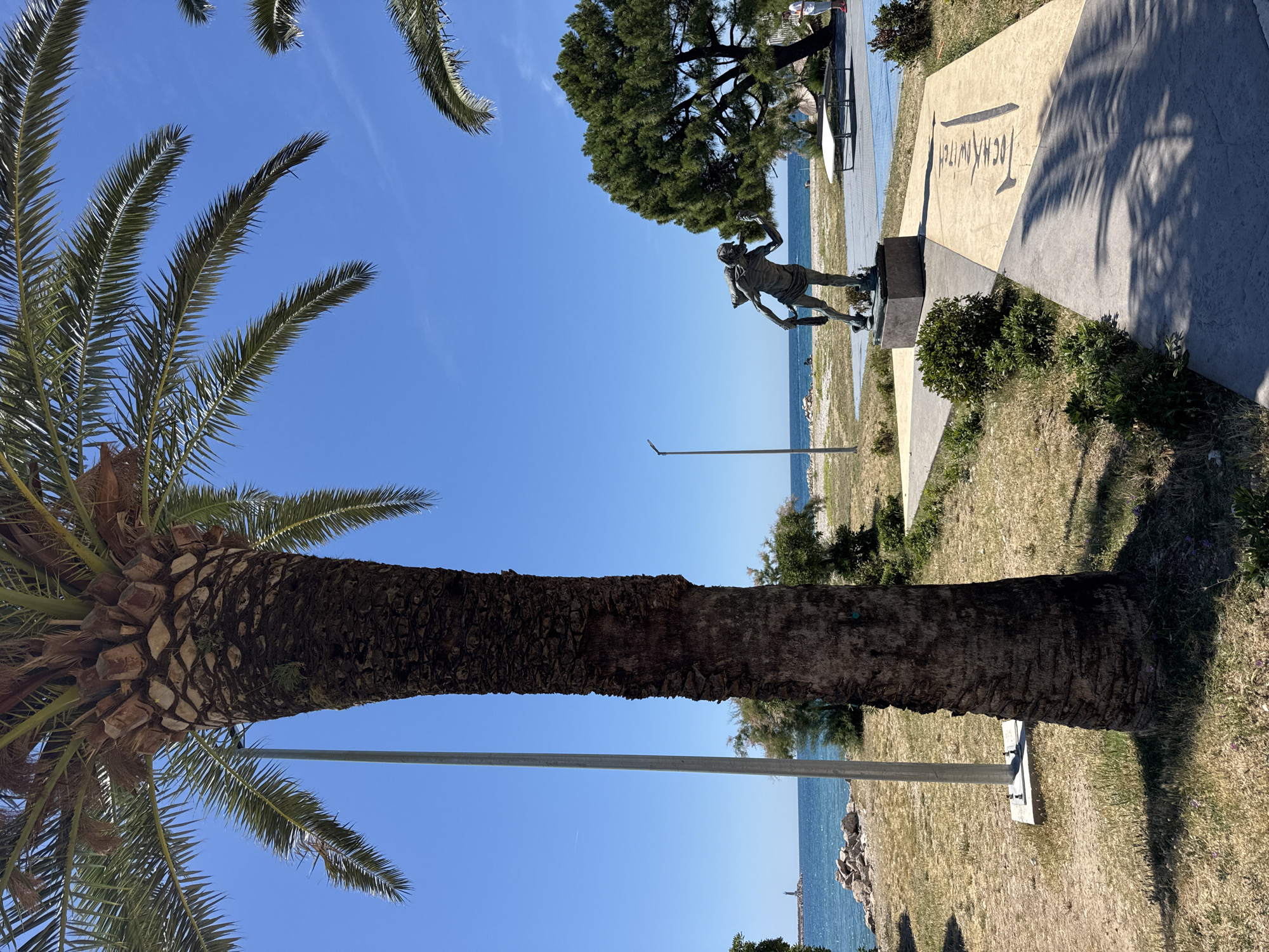 A sideways-oriented, outdoor medium shot depicts a bronze statue near the Adriatic Sea in Bar, Montenegro. The statue, representing a male figure engaged in a sporting activity (possibly tennis or handball), is mounted on a concrete pedestal and placed beside a walkway near the waterfront. The word "Topolica" is etched on the walkway near the statue. A large palm tree dominates the left side of the frame, with its trunk extending vertically. Additional greenery and trees are visible in the background. The calm, clear blue sea is in the middle of the frame, and the sky is clear, suggesting a sunny day.