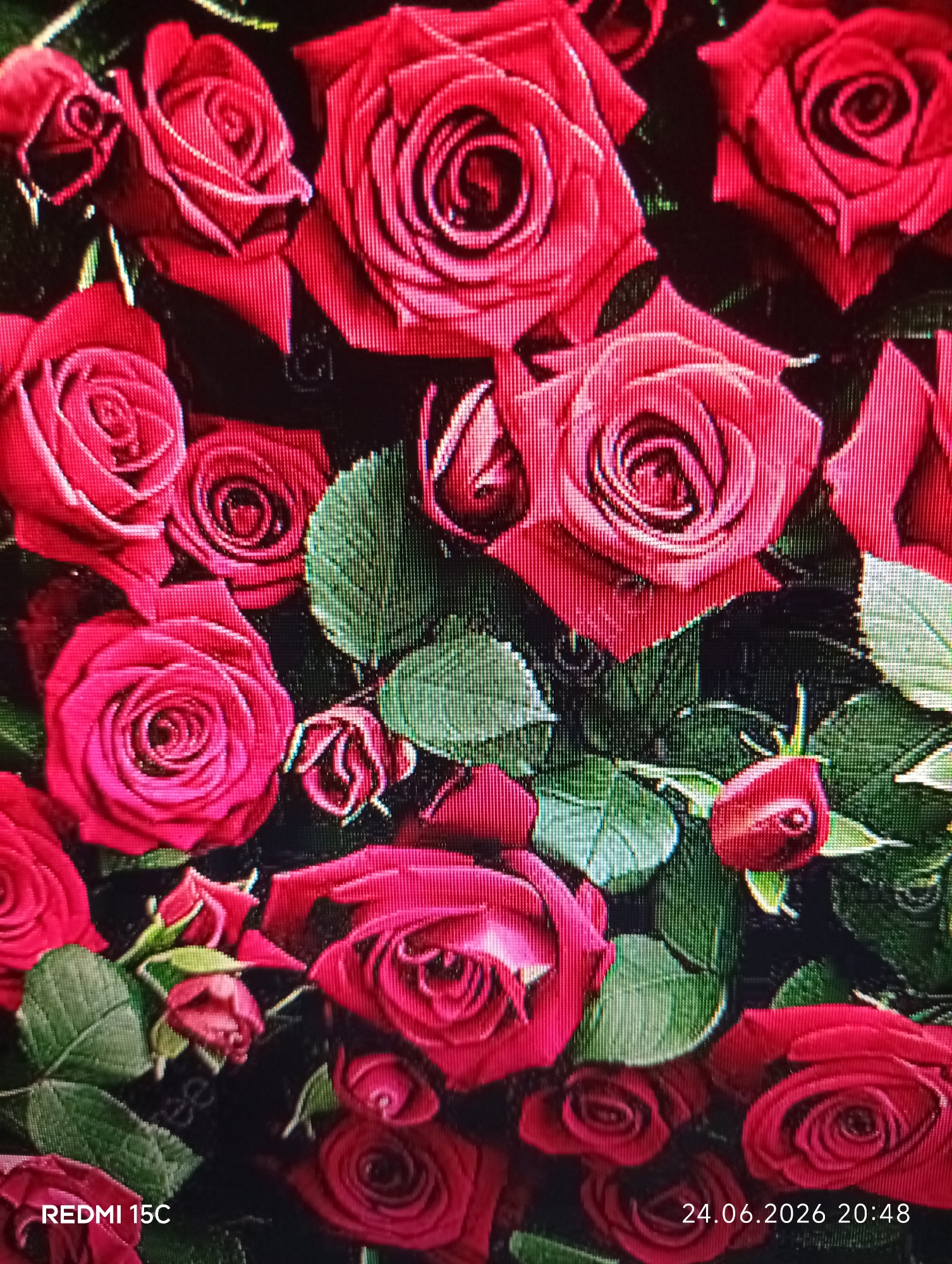 This media file is a close-up, top-down photograph of a bouquet of vibrant red roses. The roses are in various stages of bloom, with some fully open and others still budding. Their petals are deep red, with subtle variations in shade. Green leaves are interspersed among the flowers, adding a contrasting color. The background is predominantly black, making the red of the roses stand out even more. The image appears to have been taken indoors, possibly as a still life or a detail shot of a floral arrangement. There is no discernible time of day or weather information.
Visible text in the image includes "REDMI 15C" in the lower left corner and "24.06.2026 20:48" in the lower right corner. The date appears to be in the future, and "REDMI 15C" likely indicates the device used to capture the image. The overall impression is one of beauty and a focus on the rich textures and colors of the roses.