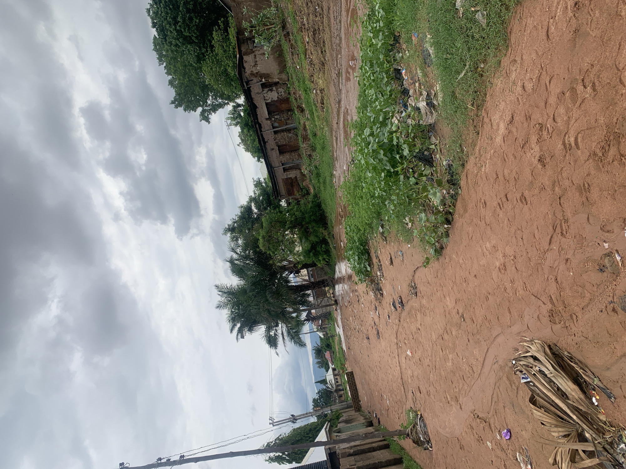 The image depicts a muddy, unpaved road in Jauro Yinu, Nigeria, under a cloudy sky. The road is littered with trash and debris, including plastic bags, wrappers, and dried palm fronds. On the left side of the road, a brick wall and a section of a building are visible, with a utility pole and wires running alongside. On the right side, a row of dilapidated buildings with rusted metal sheeting and weathered walls stretches into the background. Lush green vegetation, including broad-leafed plants, grows along the edge of the road and near the buildings, interspersed with more trash. In the distance, more trees and structures can be seen, with a line of hills or mountains under the overcast sky. The ground shows signs of recent rainfall, with puddles and water runoff creating channels in the mud. A few distant figures are present on the road, but their details are indistinct.