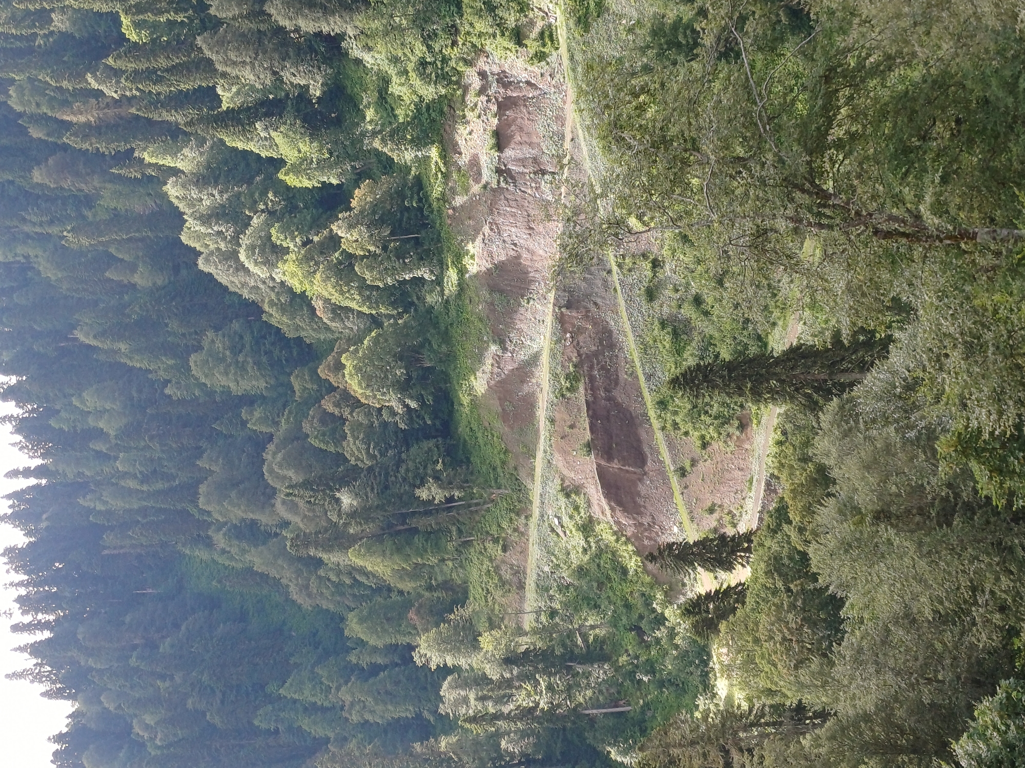 The image depicts a steep, forested mountainside in Estosadok, Russia, featuring a winding dirt road carved into the terrain. Dense coniferous and deciduous trees cover the slopes, with varying shades of green indicating different species and sun exposure. The road itself is a light brown color, appearing unpaved and somewhat eroded in places. Terracing and retaining walls are visible along the roadside, suggesting efforts to stabilize the mountainside. The lighting suggests it is daytime, with shadows cast by the trees indicating the sun's position. No people or animals are visible in the scene. The environment is natural and mountainous, characterized by lush vegetation and rugged terrain.