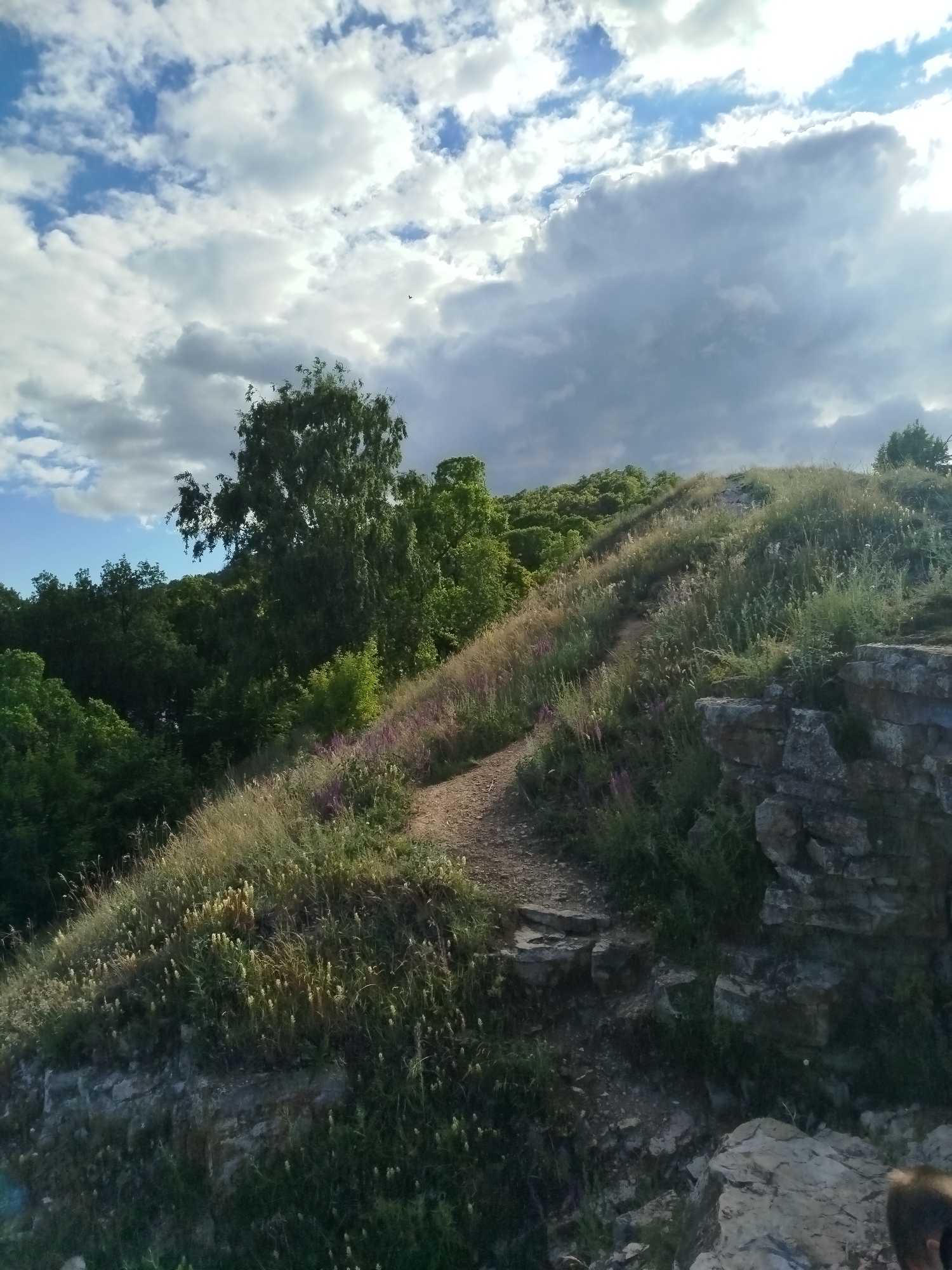 This is a landscape photograph taken in Zhigulyovsk, Russia. The scene depicts a grassy hillside with a dirt path winding up towards the summit. The hillside is covered in dry grasses and scattered purple wildflowers. To the left of the path, a dense forest of green trees can be seen, with a large, mature tree prominently featured against the sky. The path itself appears to be made of compacted earth and stones, with some steps carved into the slope in the foreground. On the right side of the frame, rocky outcrops are visible, with rough-textured grey stones forming part of the terrain.
The sky above is a mix of blue and white clouds, with some darker, stormier clouds gathering on the right side of the image, suggesting a transition in the weather. The sunlight filters through the clouds, casting a warm glow on the hillside, particularly on the dry grasses, indicating it is likely late afternoon or early evening. A small bird is visible as a tiny black speck in the sky.
The overall mood of the photograph is serene and natural, evoking a sense of being in the outdoors in a rural or wilderness setting. There are no people or explicit objects visible that indicate a specific activity, apart from the path suggesting hiking or exploration. No text is visible in the image.