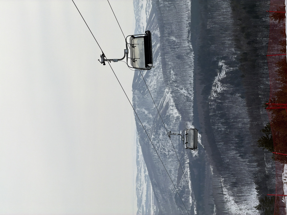 The image displays a winter mountainous landscape at the Novoabzakovo ski resort in Russia, observed on an overcast day. Two unoccupied chairlift carriages are suspended on parallel steel cables that traverse the scene diagonally from the upper right to the lower left. The closest chair, positioned in the upper right quadrant, is a two-person model with a black frame and translucent wind guards, labeled with the number "103". A second, more distant and smaller, empty chair is visible towards the middle left. The terrain consists of multiple layers of snow-covered hills and mountains, densely forested with both coniferous and deciduous trees, many appearing bare. Some slopes exhibit distinct patterns consistent with cleared or deforested areas. In the immediate foreground, at the bottom edge, a section of red safety netting is visible on a snow-covered surface, alongside several snow-dusted evergreen trees. The sky is uniformly light grey, indicating heavy cloud cover. No individuals or active subjects are present in the frame.