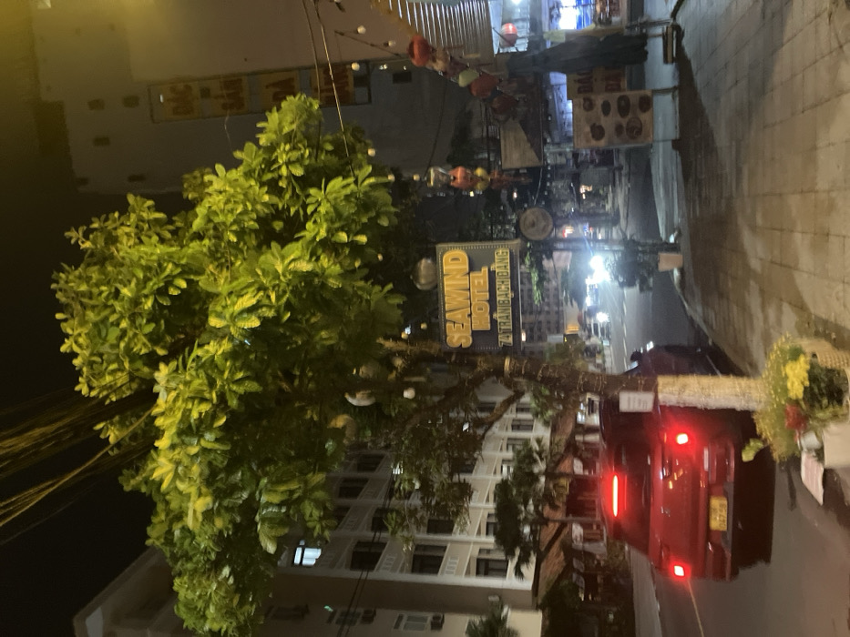 This image depicts a nighttime urban street scene in Ngũ Hành Sơn Ward, Da Nang, Vietnam, specifically near 7A Trần Bạch Đằng street. The foreground on the left shows a portion of a dark asphalt road with a red hatchback car, license plate 43A-067.50, moving or parked with its taillights illuminated. A tree with vibrant green foliage, illuminated by an unseen light source, stands prominently in the center-left. Small white spherical ornaments are strung through the tree's branches. Attached to the tree is a yellow-lit sign displaying "SEAWIND HOTEL" and "7A TRAN BACH DANG".
To the left of the road, a multi-story building with white facades and several illuminated windows is visible in the background. Overhead utility wires traverse the dark sky above the tree.
On the right side of the image, a paved sidewalk features a decorative planter containing yellow and red flowers. Further along the sidewalk, a street vendor or shop display includes multiple colorful lanterns (predominantly red and orange) hanging from a string, along with several vertical signs, one partially legible displaying "BẠC ĐÀ BÀ". The background on the right reveals other indistinct buildings and the headlights of distant vehicles on the road, indicating ongoing traffic. The overall scene is brightly lit by various artificial light sources, creating strong contrasts with the dark night sky.