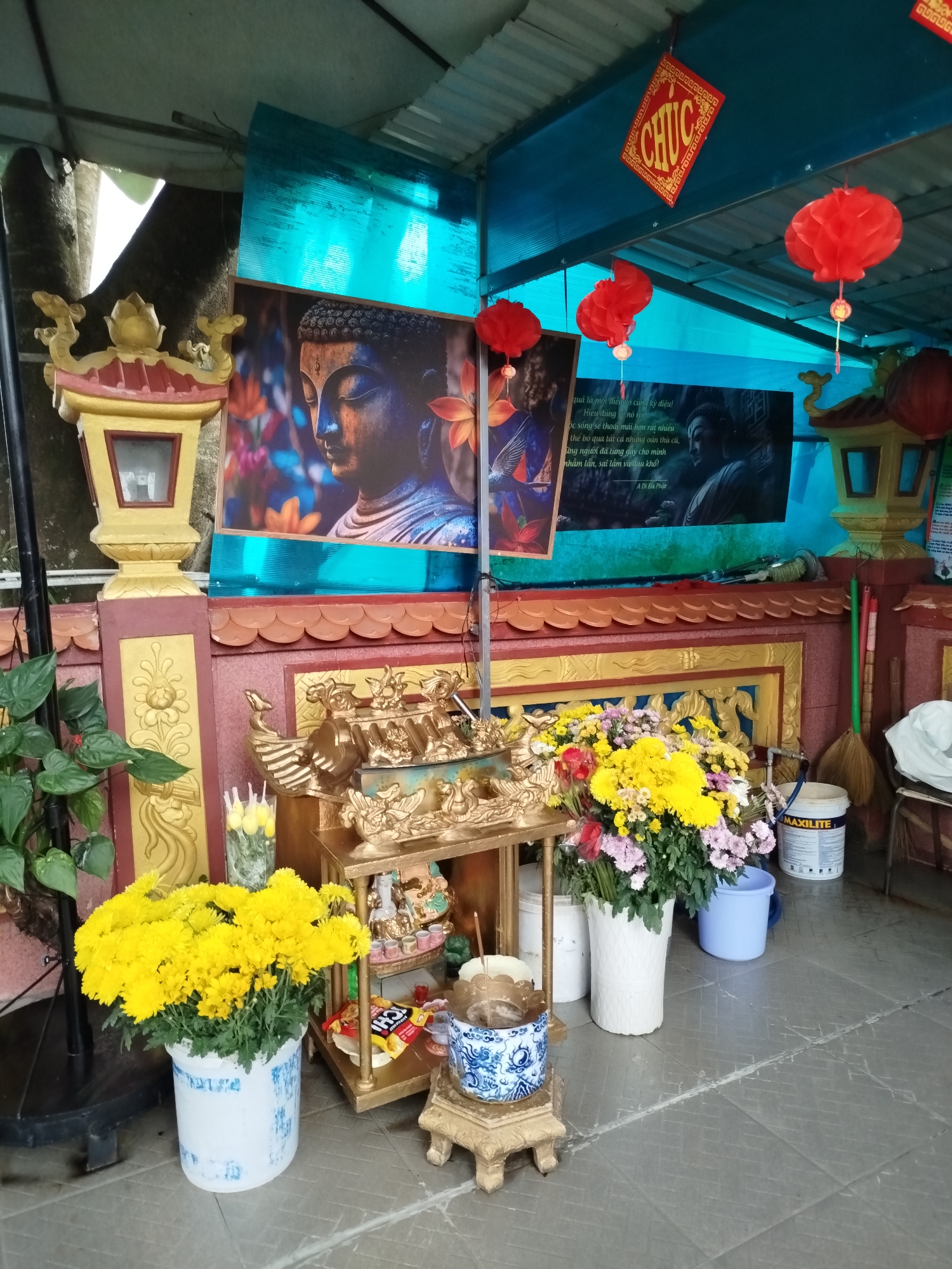 The image depicts a vibrant, sheltered outdoor shrine or altar, likely in Da Lat, Vietnam. A translucent blue corrugated plastic canopy provides overhead cover. Two large posters of serene Buddha images adorn the back wall. The poster on the right features Vietnamese text, including the lines: "quả là một điều vô cùng kỳ diệu! Hiểu đúng về nó... cuộc sống sẽ thoải mái hơn rất nhiều... thể bỏ qua tất cả những oán thù cũ, những người đã từng gây cho mình nhầm lẫn, sai lầm và đau khổ! A Di Đà Phật". Red paper lanterns hang from the canopy, along with a square red decoration featuring the Vietnamese word "CHÚC".
In the foreground, an ornate golden altar table holds several smaller golden statues and other devotional items. Abundant fresh flowers in various colors, predominantly bright yellow chrysanthemums, along with pink and red varieties, are arranged in white and blue pots and buckets around the altar. An incense burner sits on a small golden stand. Golden, lantern-like decorative structures frame the central display on either side. A potted green plant is visible on the far left. On the grey tiled floor, a white paint bucket labeled "MAXILITE" and a light blue bucket are placed next to a broom and dustpan. The scene, illuminated by ambient daylight, suggests a peaceful place for worship or personal devotion, with no people visible.