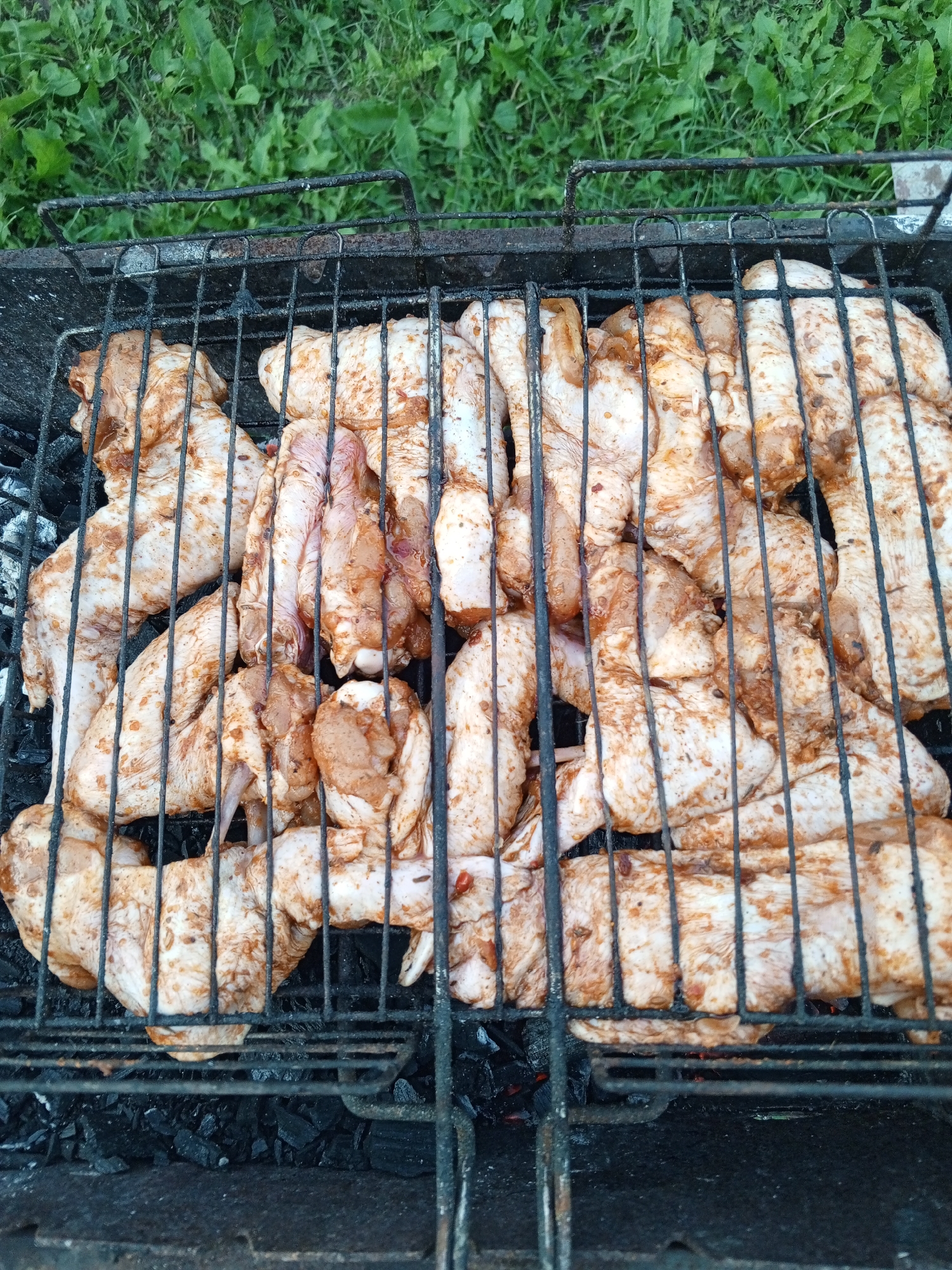 The image shows a close-up, overhead view of raw chicken wings and drumsticks arranged on a black metal grill. The chicken pieces are coated in a reddish-brown marinade. The grill is placed over a bed of hot coals, visible at the bottom of the frame. The background consists of green grass and foliage, suggesting an outdoor setting. The lighting appears to be natural daylight, possibly in the afternoon or early evening, given the slightly diffused light. There are no people visible in the image. The scene depicts food preparation for a barbecue or outdoor cooking event. The overall impression is one of ready-to-cook food awaiting grilling.