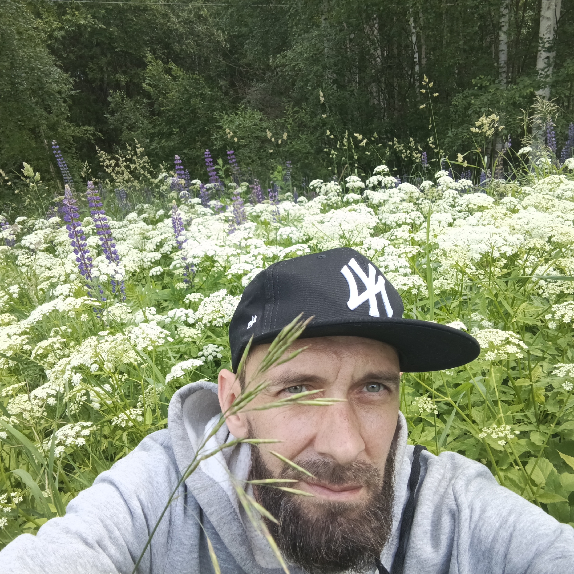 The image shows a close-up, selfie-style shot of a man wearing a grey hooded sweatshirt and a black baseball cap with a white "NY" logo. He has a beard and light-colored eyes, and a blade of grass is in the foreground, partially obscuring his face. The man is positioned in front of a field of white and purple wildflowers, with a dense green forest in the background. The location is identified as Марковский, Russia. The overall impression is of a candid moment outdoors in a natural, rural setting.