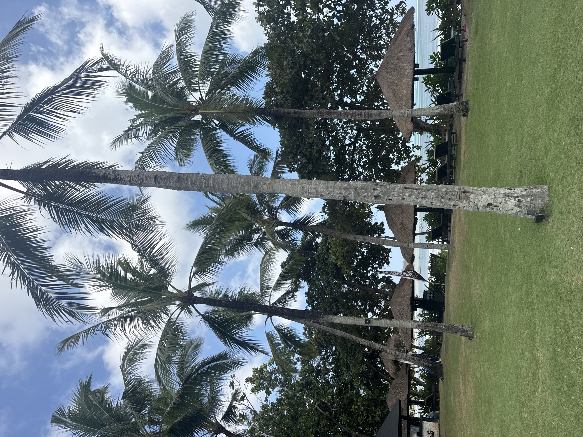 The image depicts a tropical scene in Kuta Selatan, Indonesia, characterized by lush greenery and a coastal ambiance. In the foreground, a meticulously manicured lawn stretches towards the middle ground, where several thatched-roof cabanas with lounge chairs are strategically placed. Palm trees, a quintessential element of tropical landscapes, dominate the scene, with their fronds gracefully extending towards a partly cloudy blue sky.
The middle ground also features a few surfers in the distance, suggesting recreational activities, and a building that appears to be a beachside bar or restaurant. The background reveals the serene ocean, with gentle waves lapping at the shore, and a hazy horizon indicating the vastness of the sea. The overall atmosphere is one of tranquility and relaxation, evoking the quintessential tropical vacation experience.