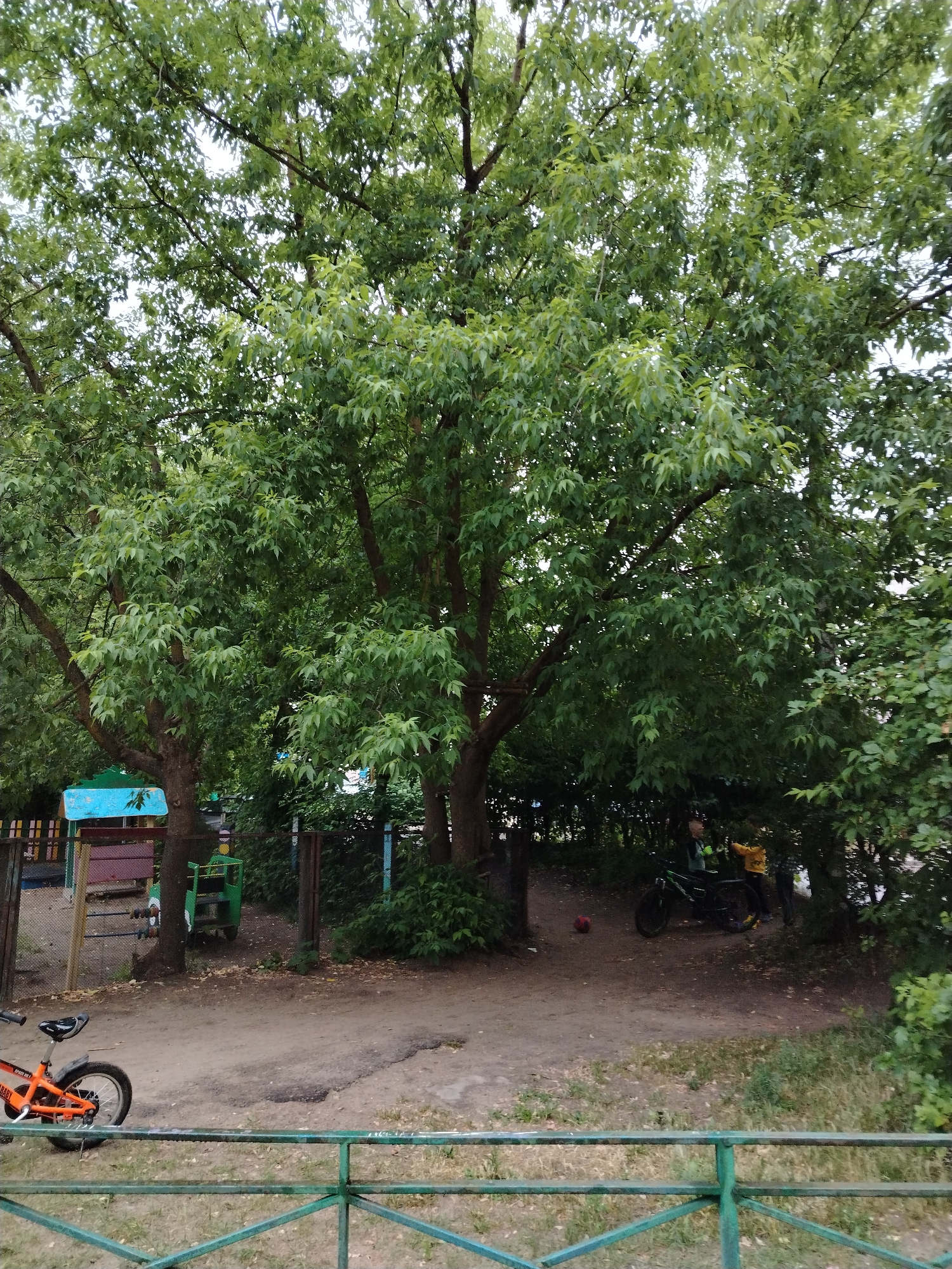 In the city of Unknown, Unknown, a dirt path curves through a shaded area dominated by large trees with dense green foliage. To the left, a bright orange bicycle with black accents is parked, facing right. Beyond the path, a chain-link fence separates the area from a playground structure with blue and pink elements. In the background, under the trees, a black bicycle is leaning, and two individuals are partially visible. One person, wearing a yellow shirt, stands near the bicycle, while another individual in a dark top is visible to the left of them. A red ball lies on the ground near the parked bicycle. The foreground is occupied by a green metal fence with a diamond pattern.