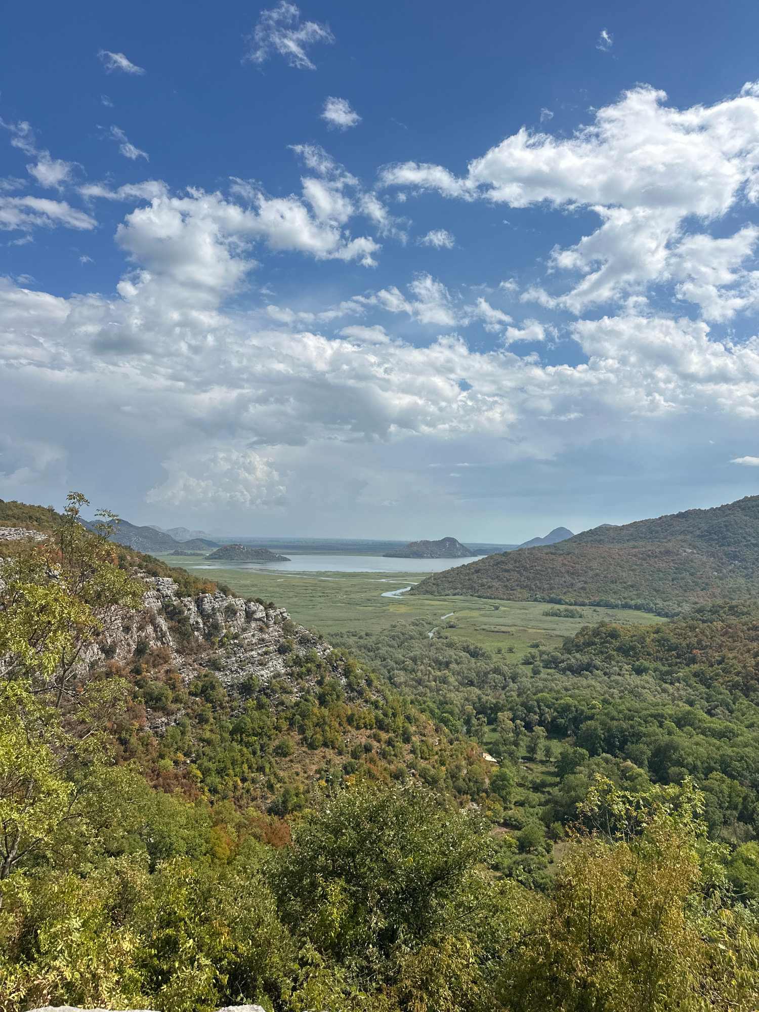 This image depicts a panoramic view of a mountainous landscape with a large body of water and lush vegetation. The foreground features rocky terrain with scattered trees and shrubs, some exhibiting autumnal colors. The midground reveals rolling hills covered in dense green forests and marshland surrounding a serene lake. In the distance, several islands or peninsulas rise from the water, with mountains forming the backdrop under a bright blue sky dotted with white, puffy clouds. The scene captures a natural, undeveloped environment, likely in a rural or national park setting. The location is identified as being in the city of Cetinje, Montenegro. There are no people or animals visible in the image.