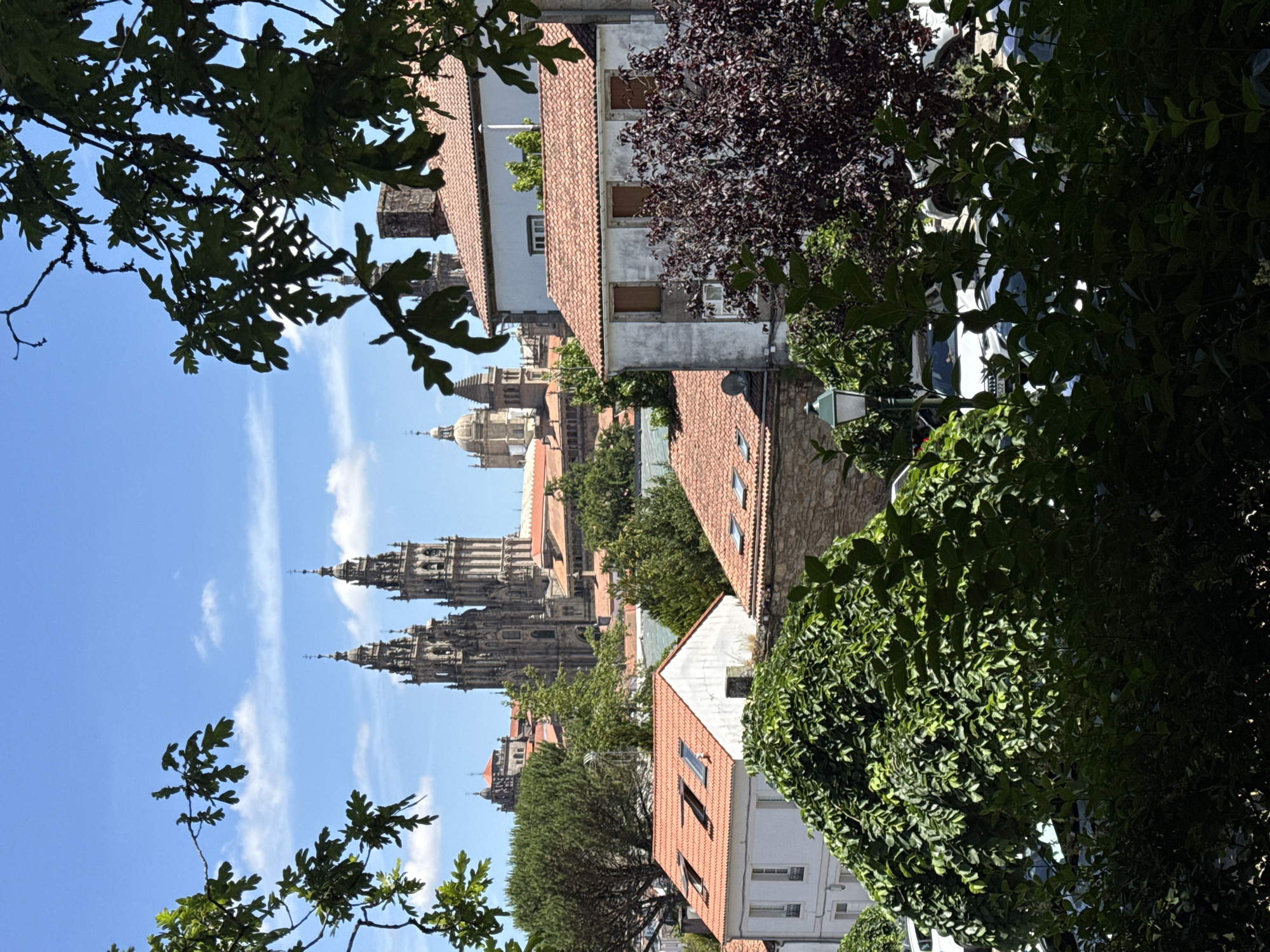 The image captures a view of the Cathedral of Santiago de Compostela in Spain, as seen through the branches of lush green trees. In the foreground, dense foliage partially obscures the view, with dark green leaves dominating the lower portion of the frame. A few glimpses of parked cars are visible behind this greenery, suggesting a street or parking area.
Beyond the foliage, several buildings with terracotta tiled roofs are visible. These buildings are varied in height and architectural style, some appearing to be residential with windows and chimneys. One white building in the mid-ground has multiple skylights on its red roof.
The majestic Cathedral of Santiago de Compostela stands prominently in the background, its distinctive Romanesque towers and ornate facade silhouetted against a bright blue sky dotted with white clouds. The spires of the cathedral reach towards the sky, a testament to its grandeur. Other domes and architectural elements of the cathedral complex are also discernible.
The overall impression is a picturesque urban landscape, where nature and historical architecture coexist, with the iconic cathedral serving as the focal point. The lighting suggests a clear, sunny day.