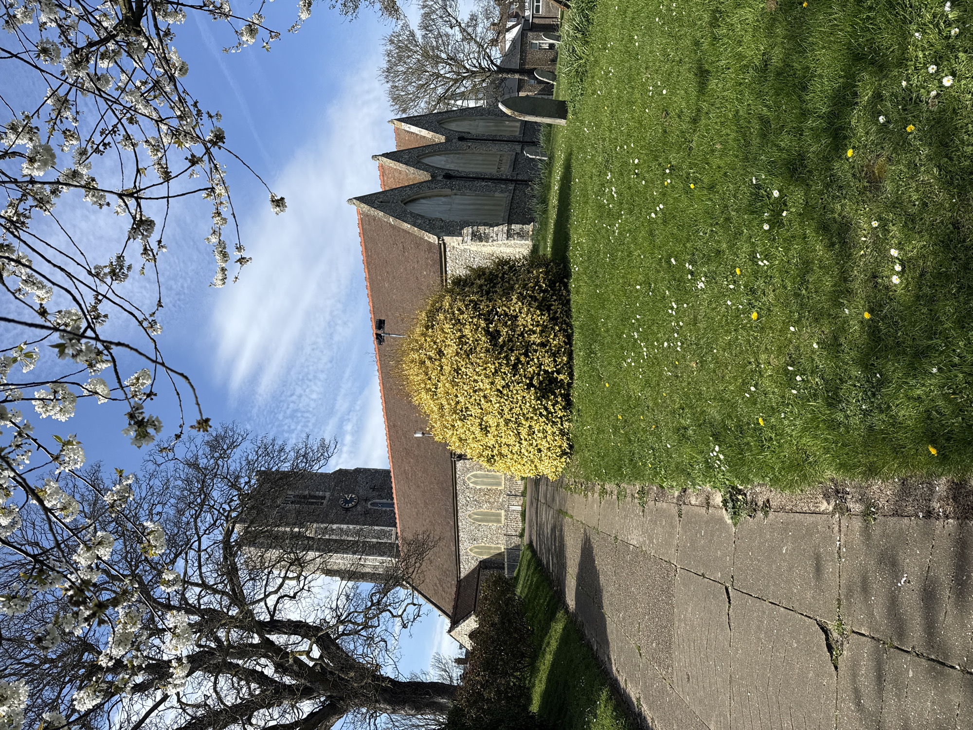 The image shows a church in Gorleston-on-Sea, United Kingdom, viewed from a low angle along a paved pathway. The church is constructed of stone with a red tile roof and features a clock tower. A mature tree with white blossoms frames the image on the left side. The lawn to the right of the path is green, with white and yellow wildflowers interspersed. The sky is blue with wispy clouds.