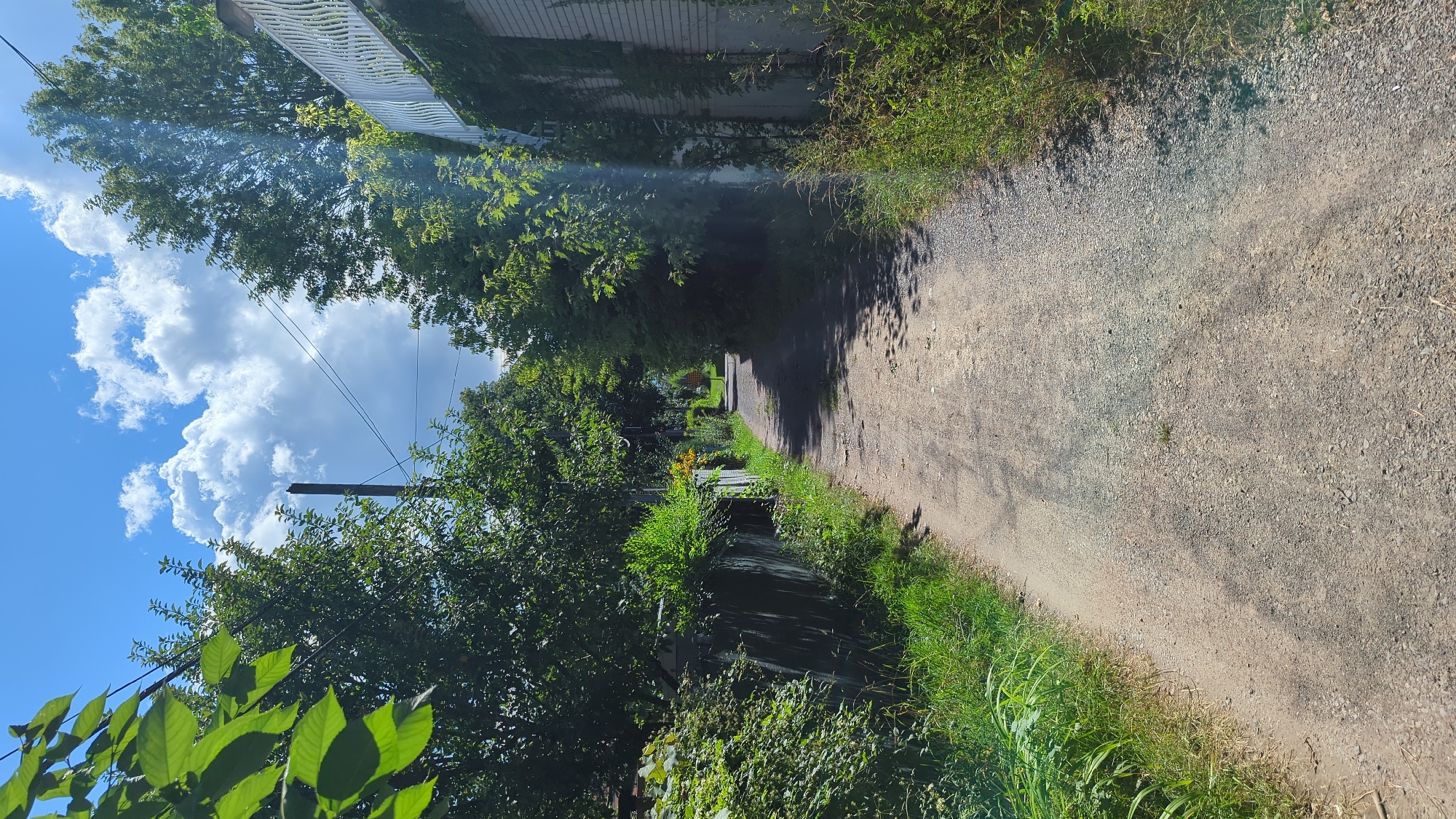 A narrow, unpaved road curves gently into the distance, flanked by lush green foliage and trees on both sides. The ground is a mix of dirt and gravel, with shadows cast by the trees dappling the surface. To the right, a white railing with an ornate, wavy design runs along the top of a light-colored brick building. To the left, a dark, weathered fence is partially obscured by dense greenery. Overhead, a bright blue sky is dotted with fluffy white clouds, and electrical wires are visible. The scene appears to be a residential alleyway or a path in a semi-rural area, possibly in Montreal, Canada, judging by the architecture and vegetation. There are no people or animals present in the image. The overall impression is one of a quiet, sun-drenched summer day.