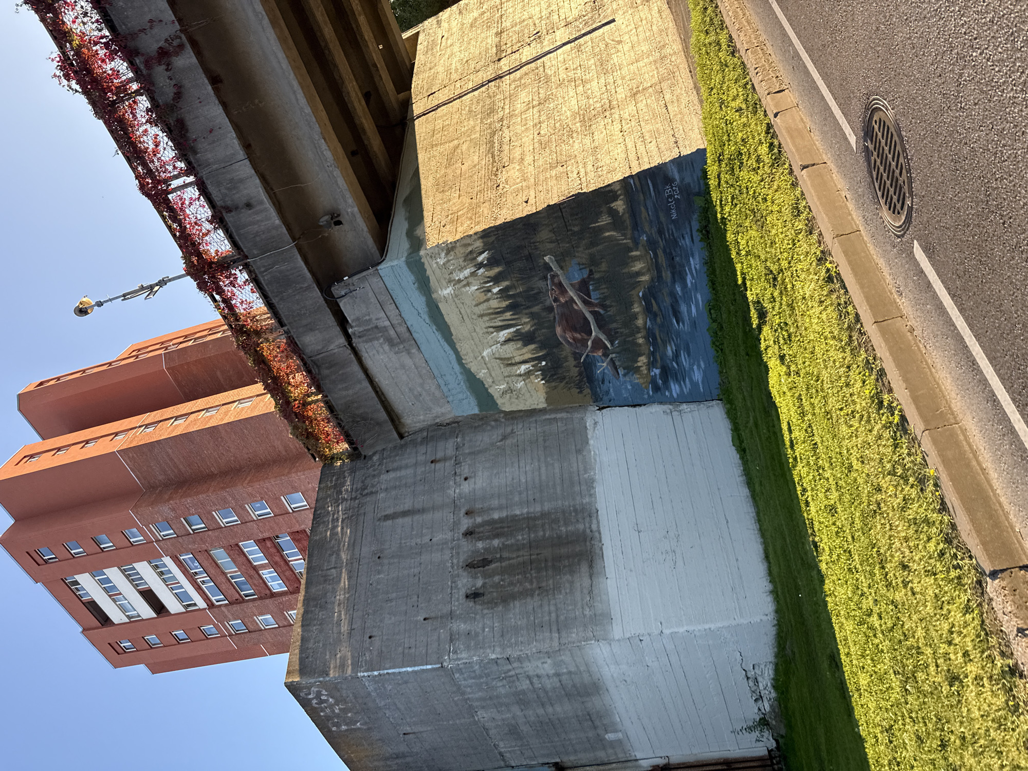 A low-angle, wide shot captures a concrete bridge abutment in Tallinn, Estonia, adorned with a mural of a beaver in a river amidst a forest scene. The mural is signed "Nikole Bk 2026." Behind the abutment, a tall, reddish-orange brick apartment building with numerous windows rises into a clear blue sky. The bridge itself is partially visible, with vines bearing red leaves trailing over its edge. The foreground features a grassy verge bordering a paved road with a manhole cover and a white line. The scene is illuminated by the warm light of what appears to be late afternoon or early morning sun.