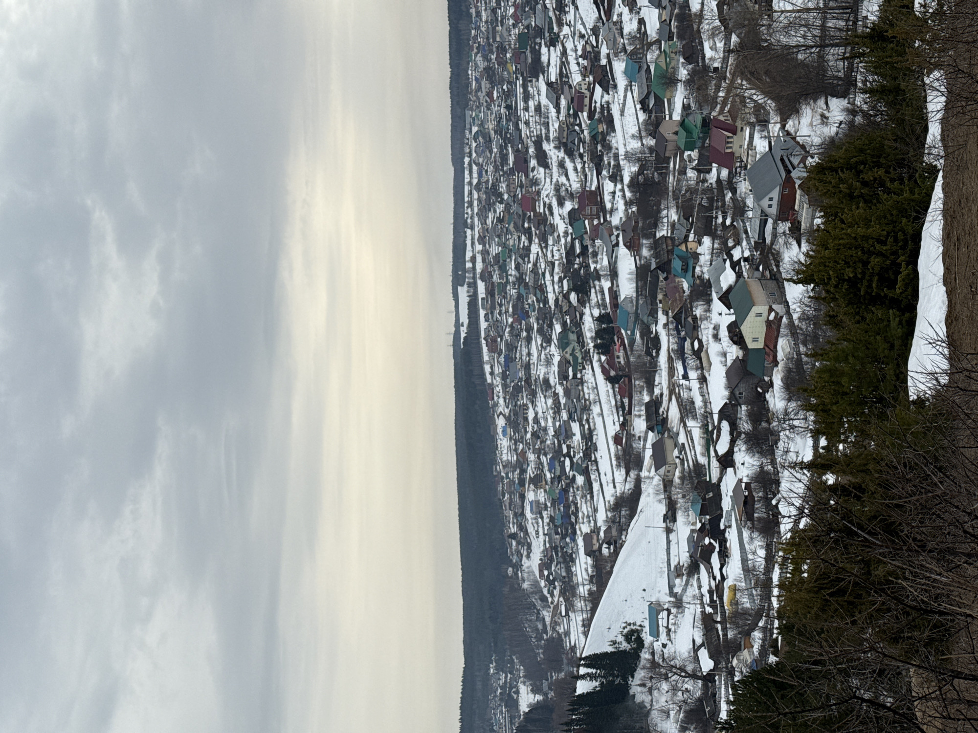 An elevated, wide-angle photograph depicts a snow-covered rural settlement in Ольховка, Russia, under an overcast sky. The upper half of the frame is dominated by a light grey, uniformly cloudy sky, transitioning to a pale yellowish-white hue at the horizon. The midground and background feature a vast expanse of undulating, snow-blanketed terrain.
A dense concentration of residential structures, primarily single-family homes, is distributed across the snow-covered landscape. These houses exhibit varied architectural styles and sizes, with many featuring distinctly colored roofs, including shades of blue, green, red, brown, and dark grey, providing visual contrast against the white ground. Narrow, dark pathways or unpaved roads are discernible winding through the village between the snow-laden properties.
A prominent, snow-covered hillside descends from the left side of the frame, partially covered by dark green coniferous trees in its lower section. A substantial, dark green forest forms a natural boundary on the distant horizon beyond the village. Faint outlines of industrial structures, possibly power line towers, are visible above the treeline in the far background.
The immediate foreground consists of bare, dark brown deciduous branches and clusters of dark green evergreen shrubs and small trees, partially obscuring the view of the village below. Patches of melting snow are evident in the foreground. No individuals, vehicles, or explicit activities are visible within the scene.