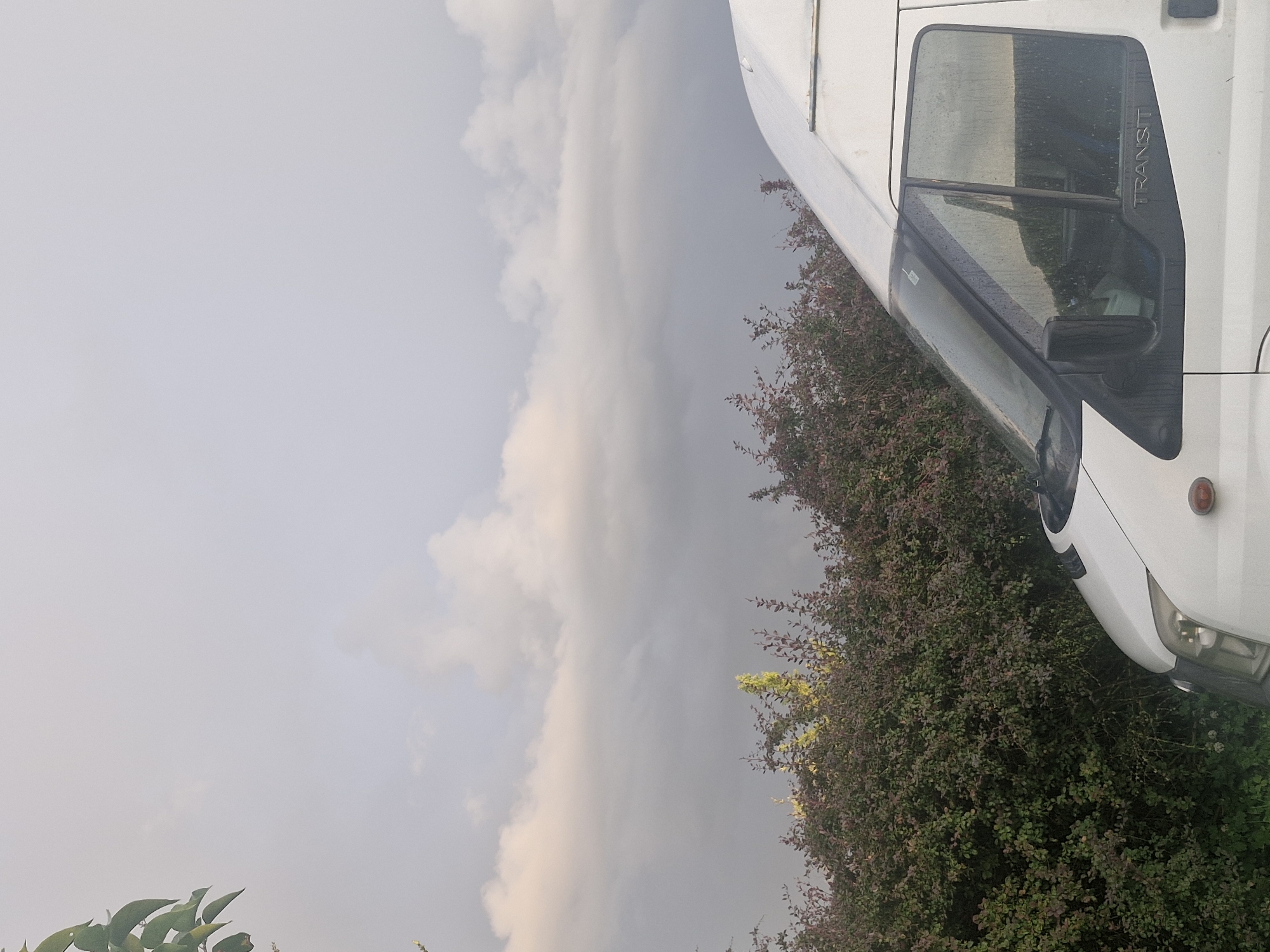 The image depicts a white Ford Transit van parked outdoors, with a dense hedge of foliage behind it. The sky above is overcast with soft, diffused light, suggesting it may be late afternoon or early morning. The van's exterior shows signs of recent rain, with water droplets visible on the windows and body. A portion of a green leafy branch hangs into the frame from the top left corner. The setting appears to be a rural or suburban area, possibly within Saulgoži, Latvia, given the context. There are no people visible in the image.