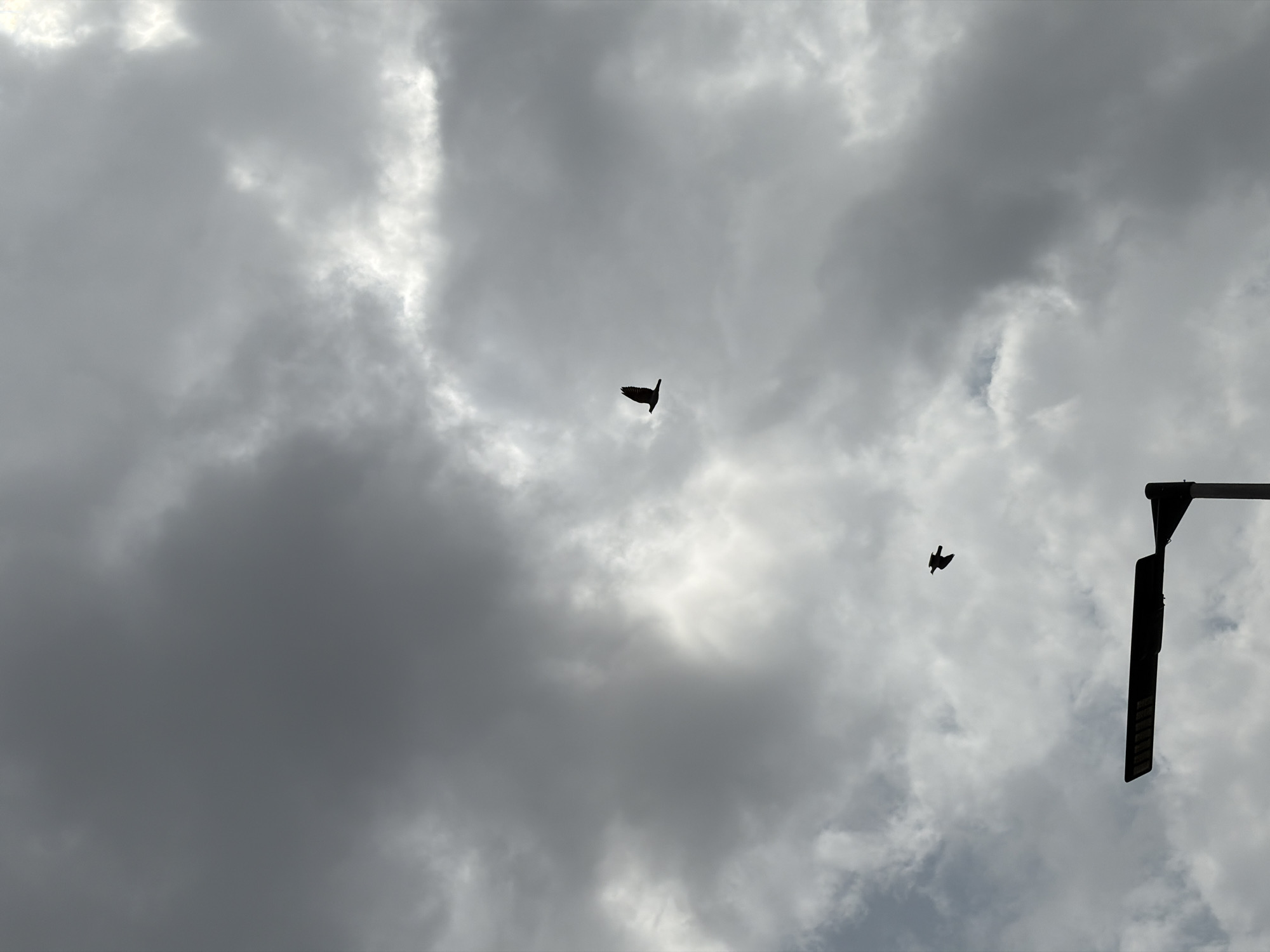 A silhouette of a streetlamp with a long, dark rectangular fixture extends from the bottom left corner of the frame upwards and to the right. Two dark silhouettes of birds are in flight against a heavily clouded, overcast sky. One bird is positioned higher and to the right of the streetlamp, and the second bird is located below and to the left of the first. The clouds are a mix of dark gray and lighter gray, with some hints of bright white where the light is breaking through. The scene is a view of the sky from ground level, likely in an urban or suburban area given the presence of the streetlamp. The location is Igboefon, Nigeria.