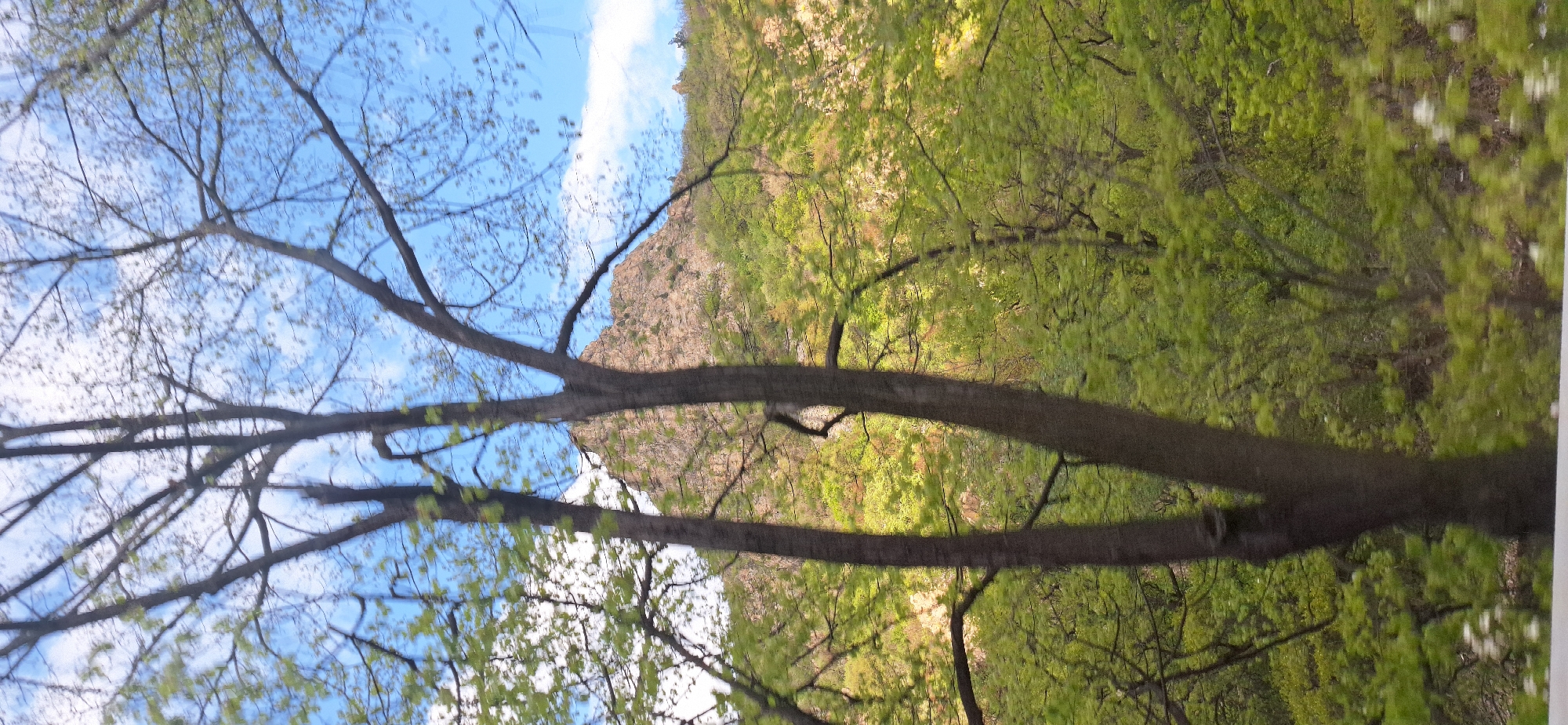 The scene is a view through the branches of trees, seemingly in Stara Kresna, Bulgaria. The sky is visible with a mix of blue and clouds. A rocky hill or cliff can be seen in the distance, partially obscured by the trees. The trees are filled with green leaves.