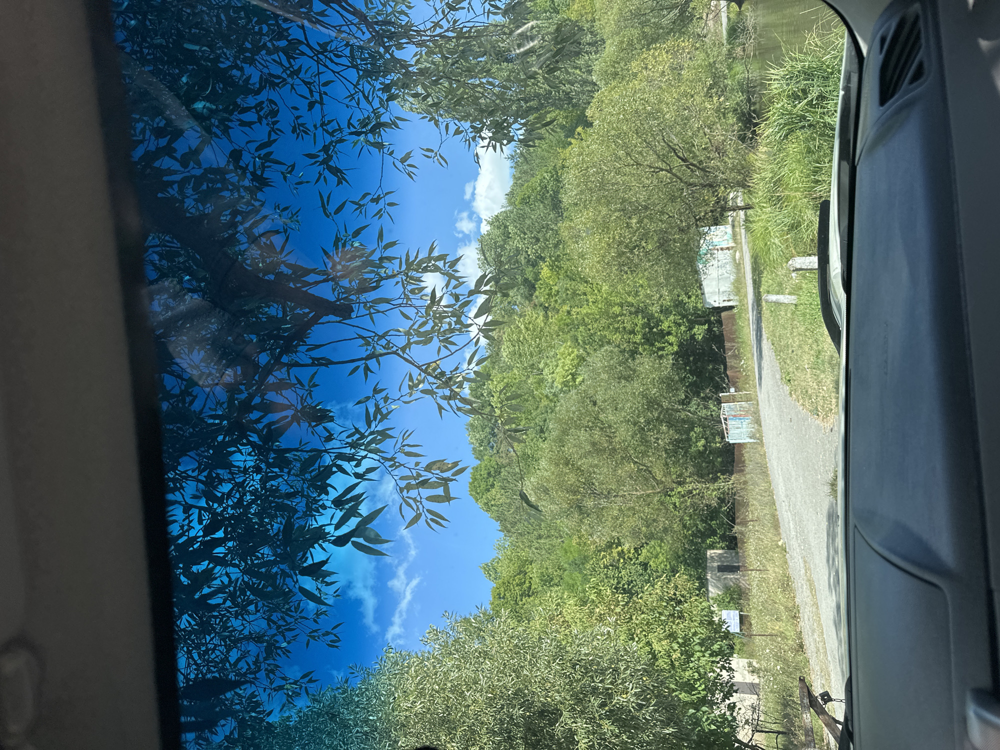 The image is taken from inside a vehicle, looking out through the windshield. The foreground shows the dashboard of the car. The view through the windshield reveals a sunny day with a bright blue sky dotted with white clouds. Green trees and foliage dominate the scene, with some branches and leaves hanging down from above, partially obscuring the view.
In the mid-ground, a dirt road or path winds through the landscape. On either side of the path, there is lush green grass and various trees. In the distance, there are several small structures, some appearing to be sheds or outbuildings, with one having graffiti on its side. A body of water, likely a pond or lake, is visible on the right side of the image, with dense green reeds growing along its bank.
The scene appears to be rural or semi-rural, consistent with a location like Makiv, Ukraine, which is known for its natural landscapes and smaller villages. There are no people visible in the image. The overall impression is one of a peaceful, natural setting on a clear day.