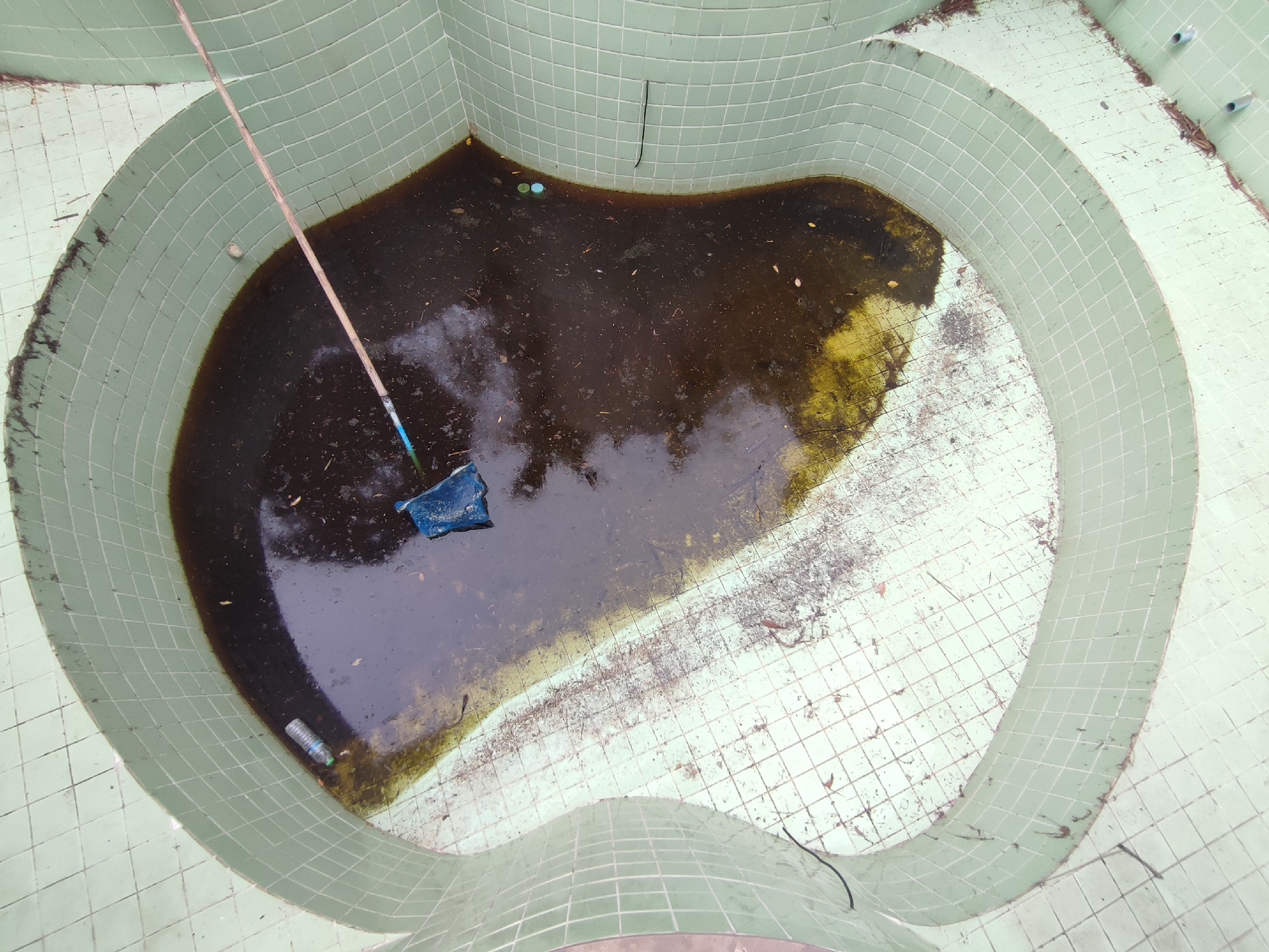 The image shows an abandoned, empty swimming pool in Pattaya City, Thailand. The pool is oval-shaped with light green tiles and filled with stagnant, dark water, algae, and debris. A pool skimmer net attached to a long pole rests inside the pool. A plastic water bottle floats near the edge. The tile around the pool is stained and dirty.